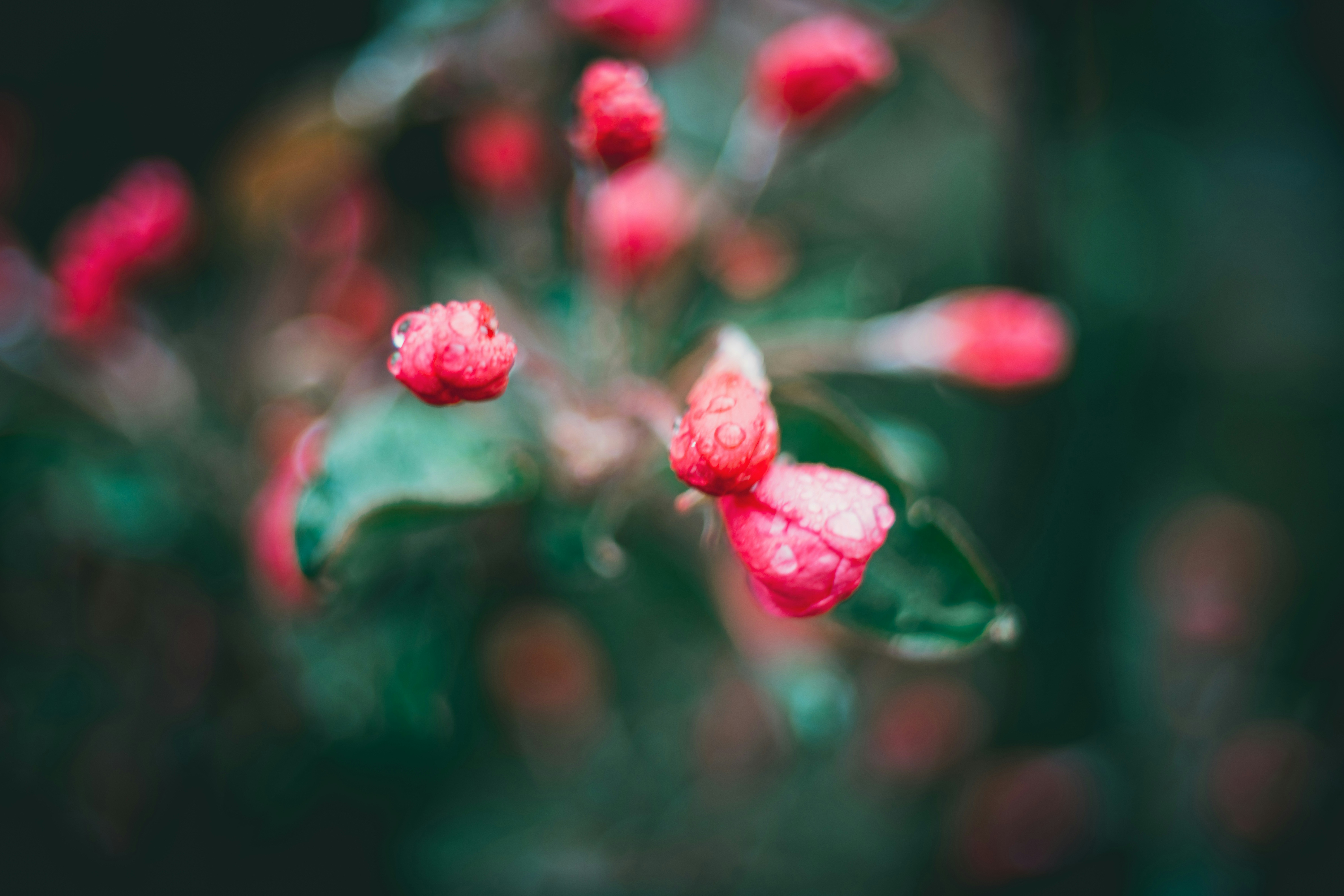 Photo by raimondklavins