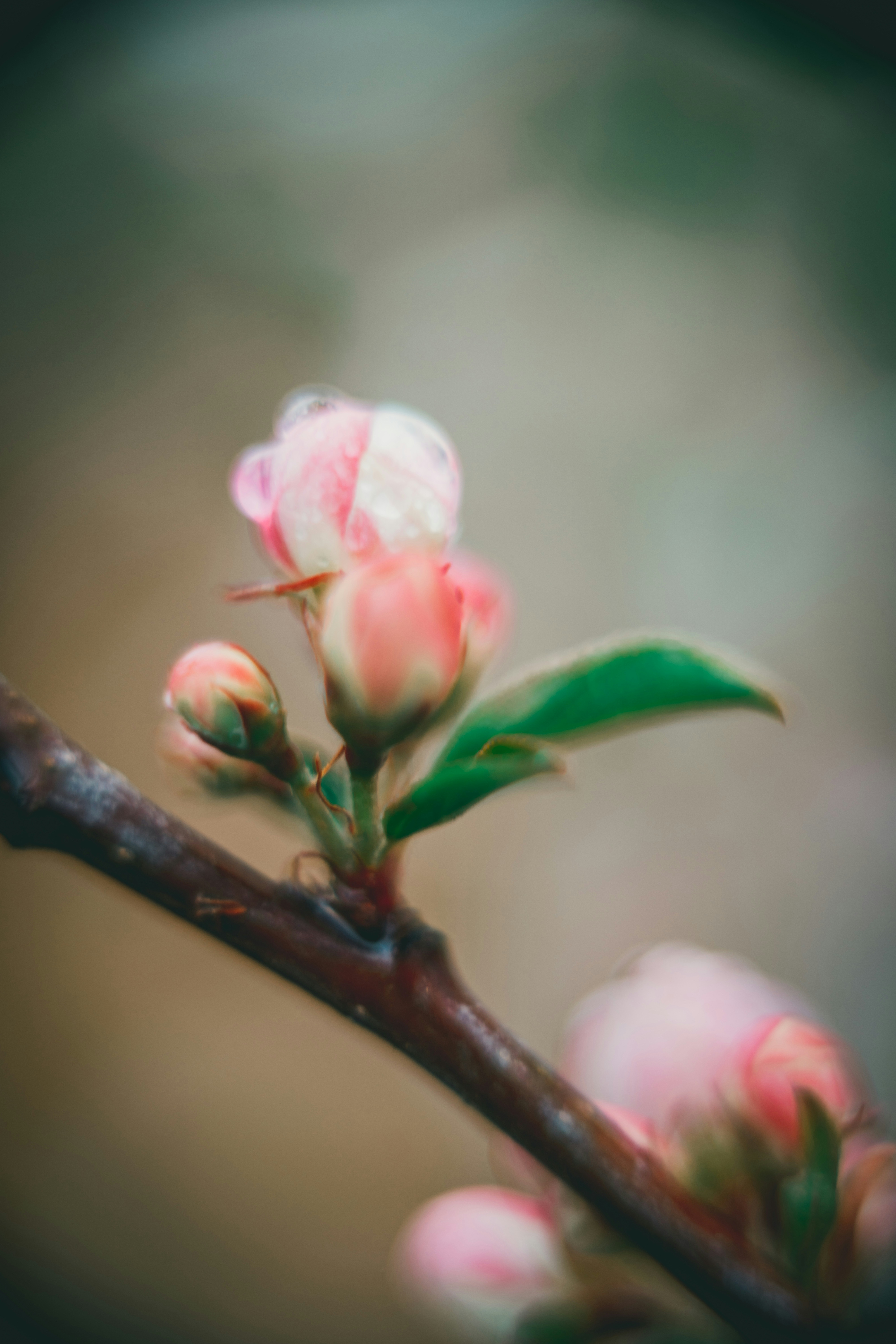 Photo by raimondklavins