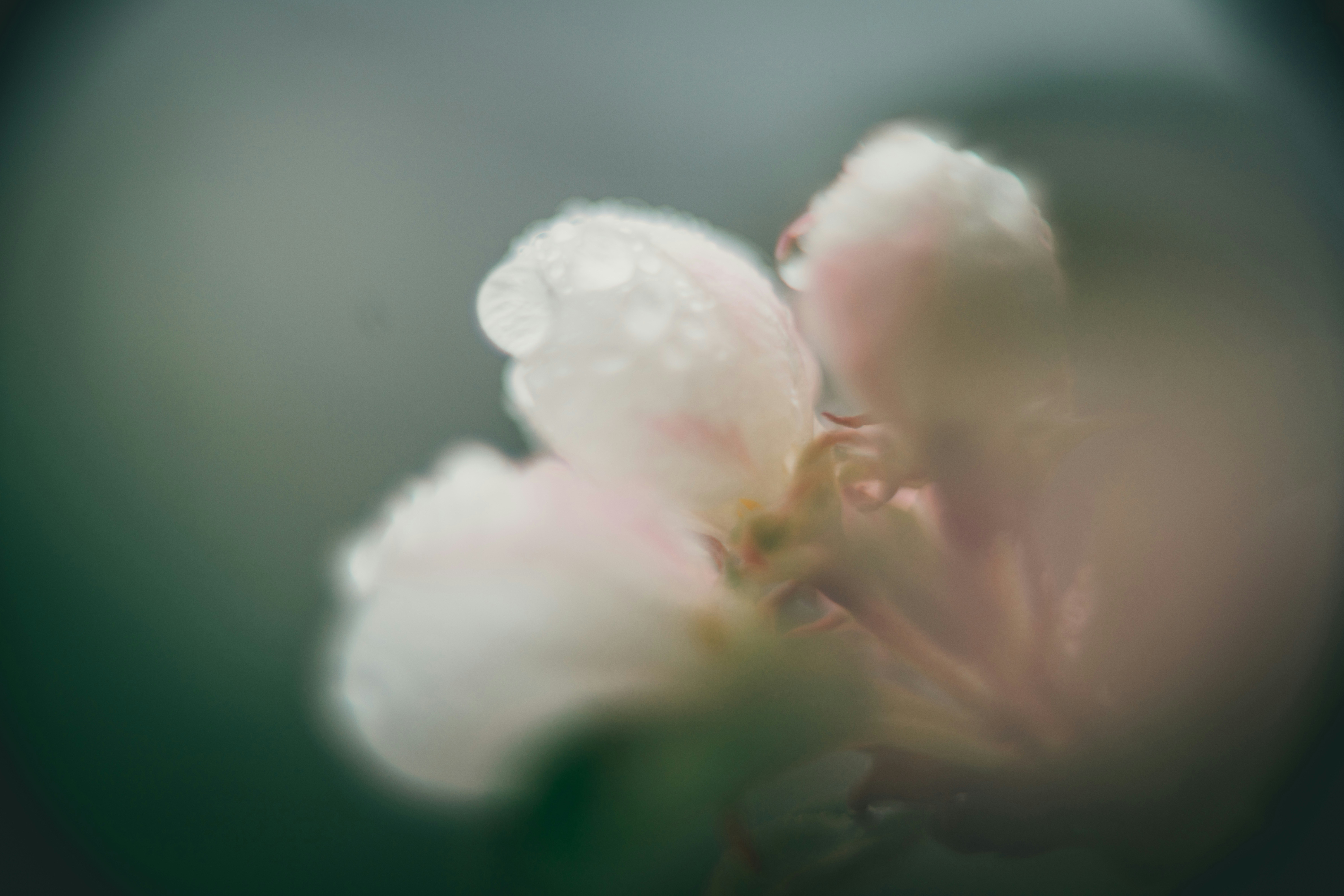 Photo by raimondklavins