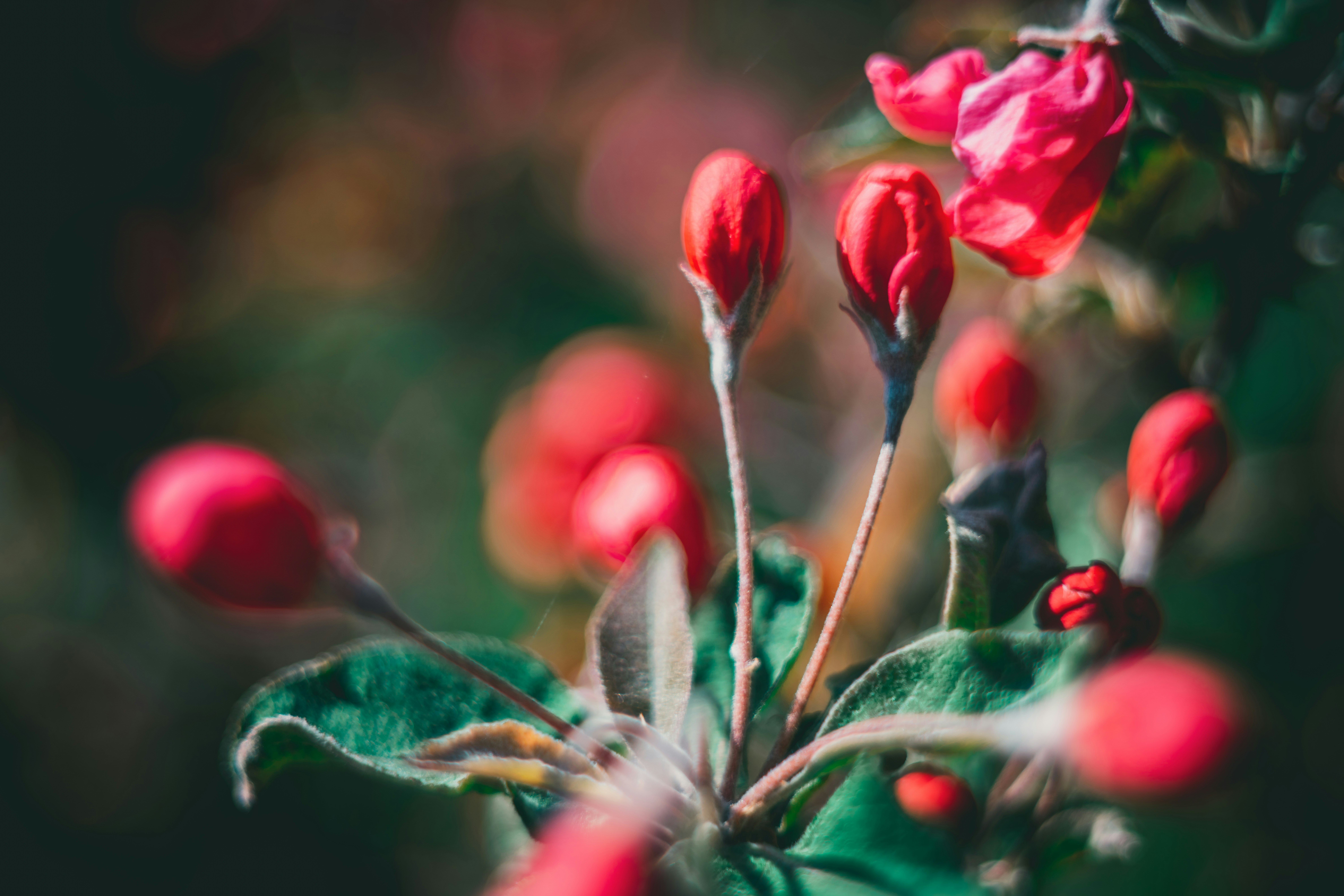 Photo by raimondklavins