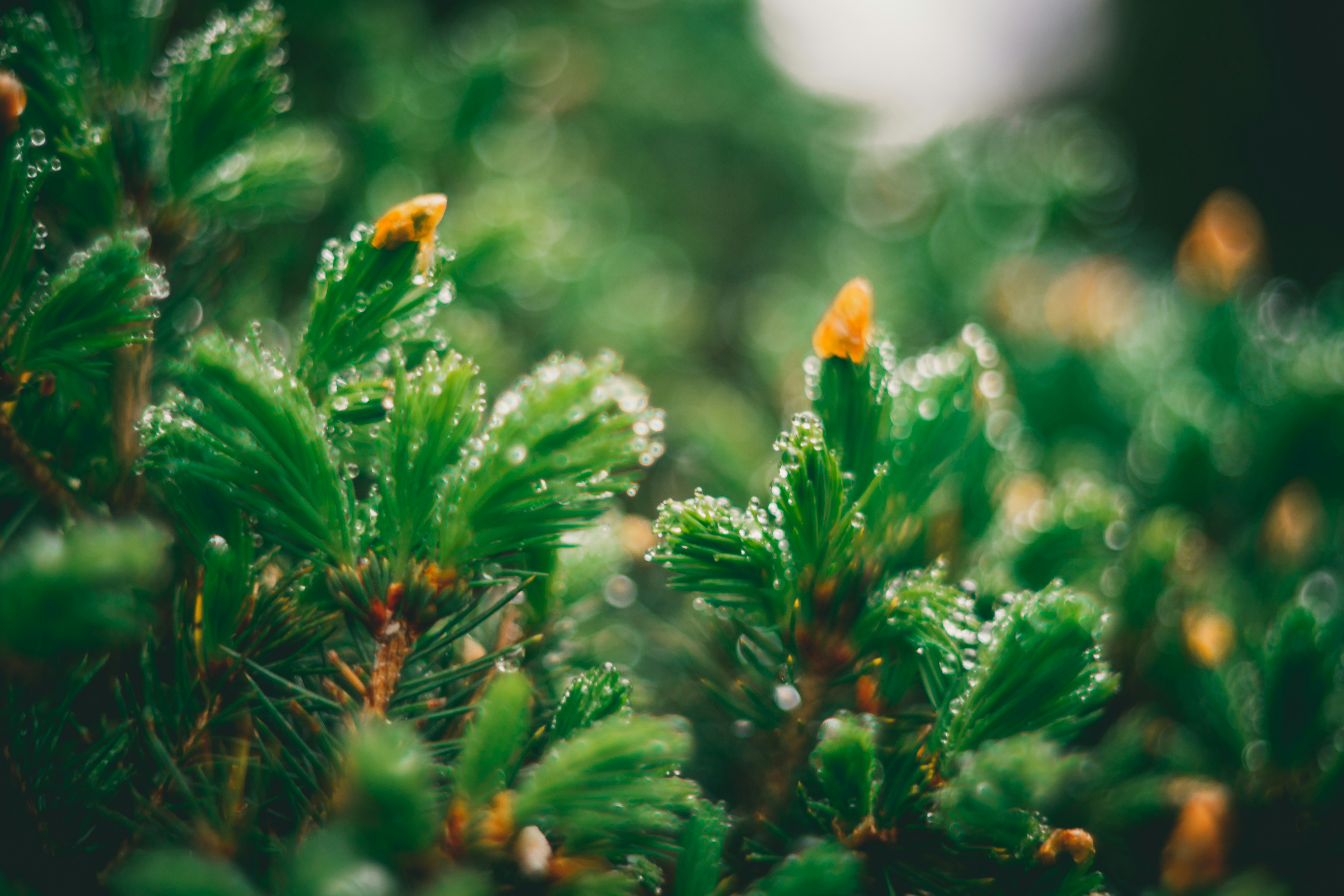 Photo by raimondklavins