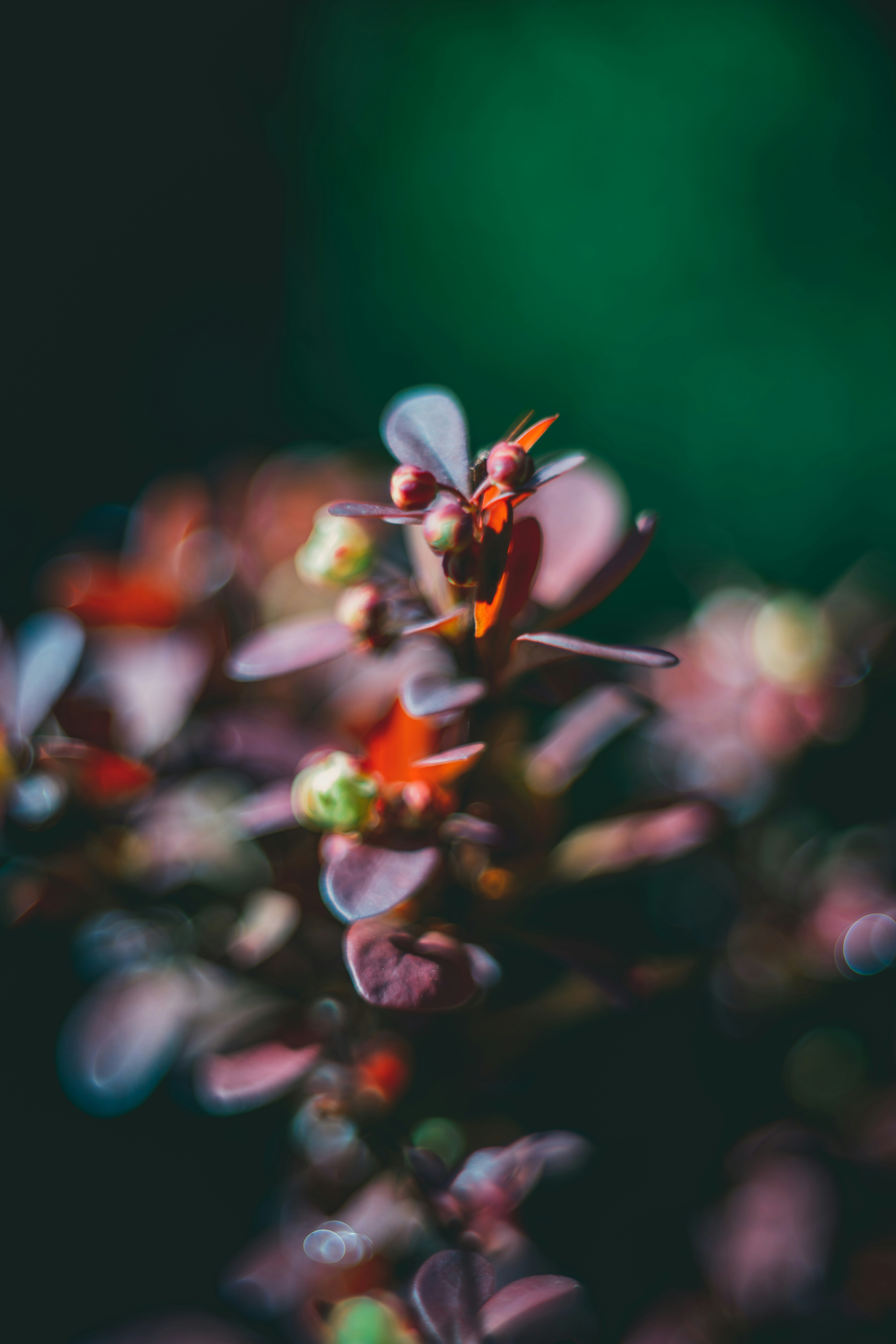 Photo by raimondklavins