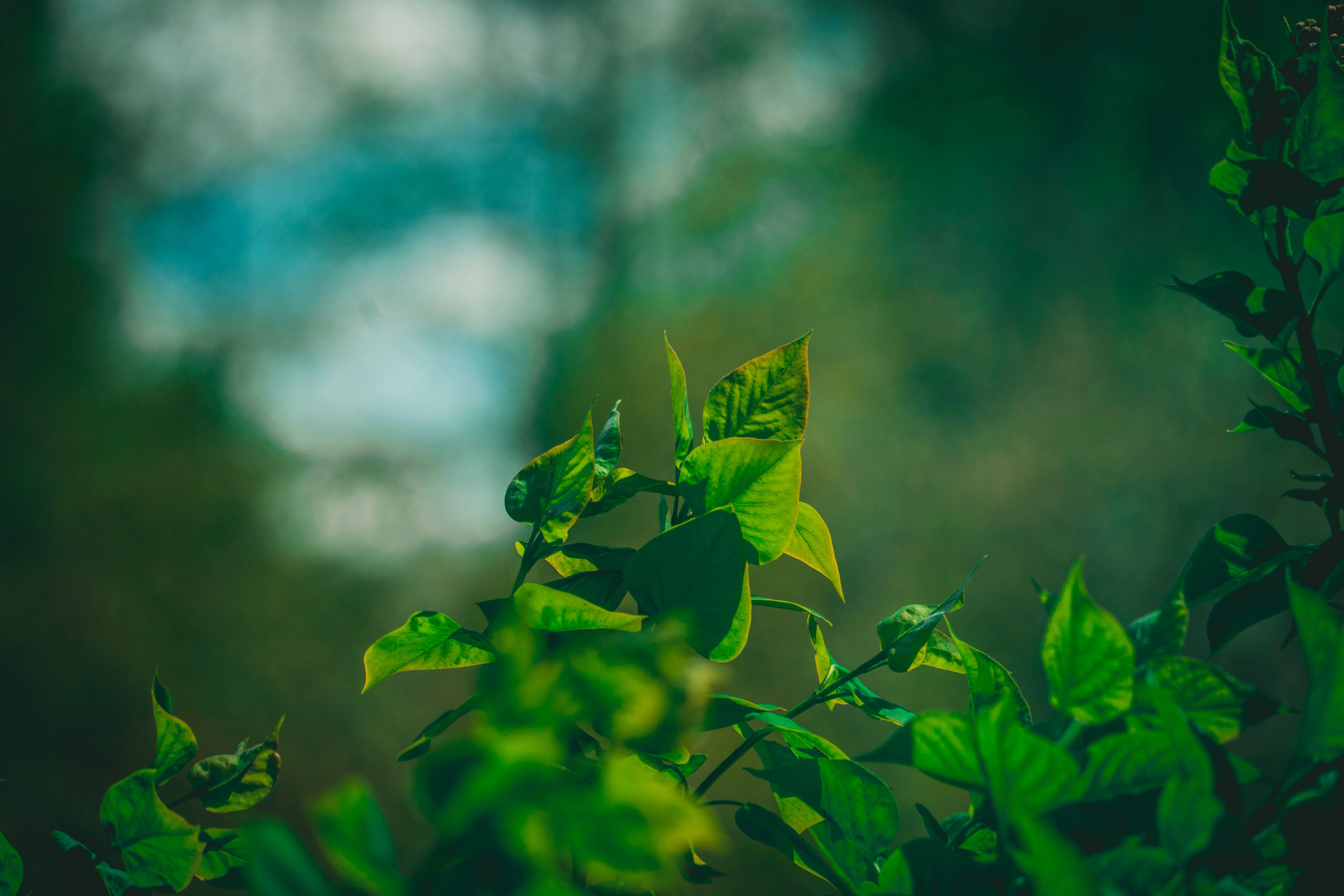 Photo by raimondklavins