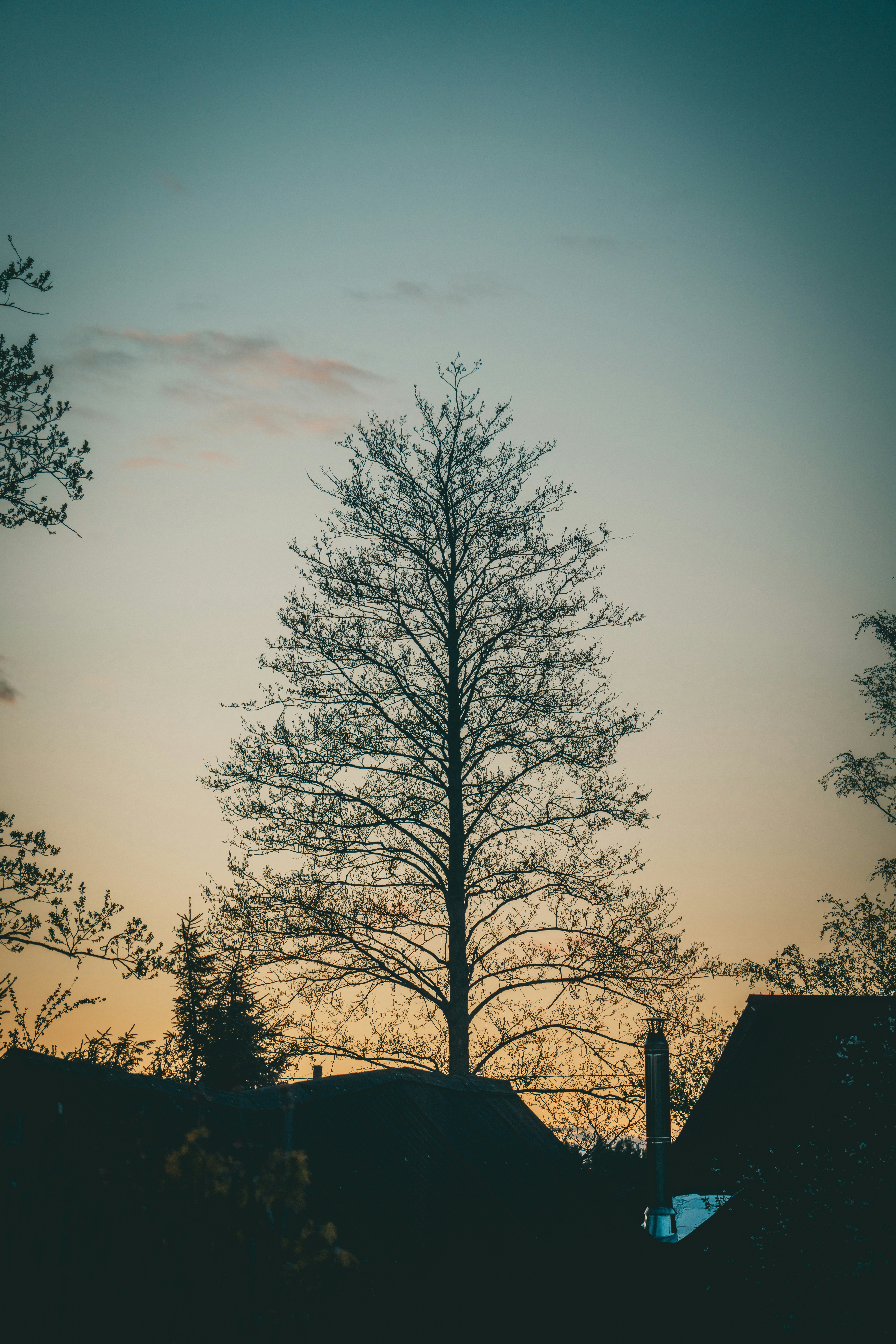 Photo by raimondklavins