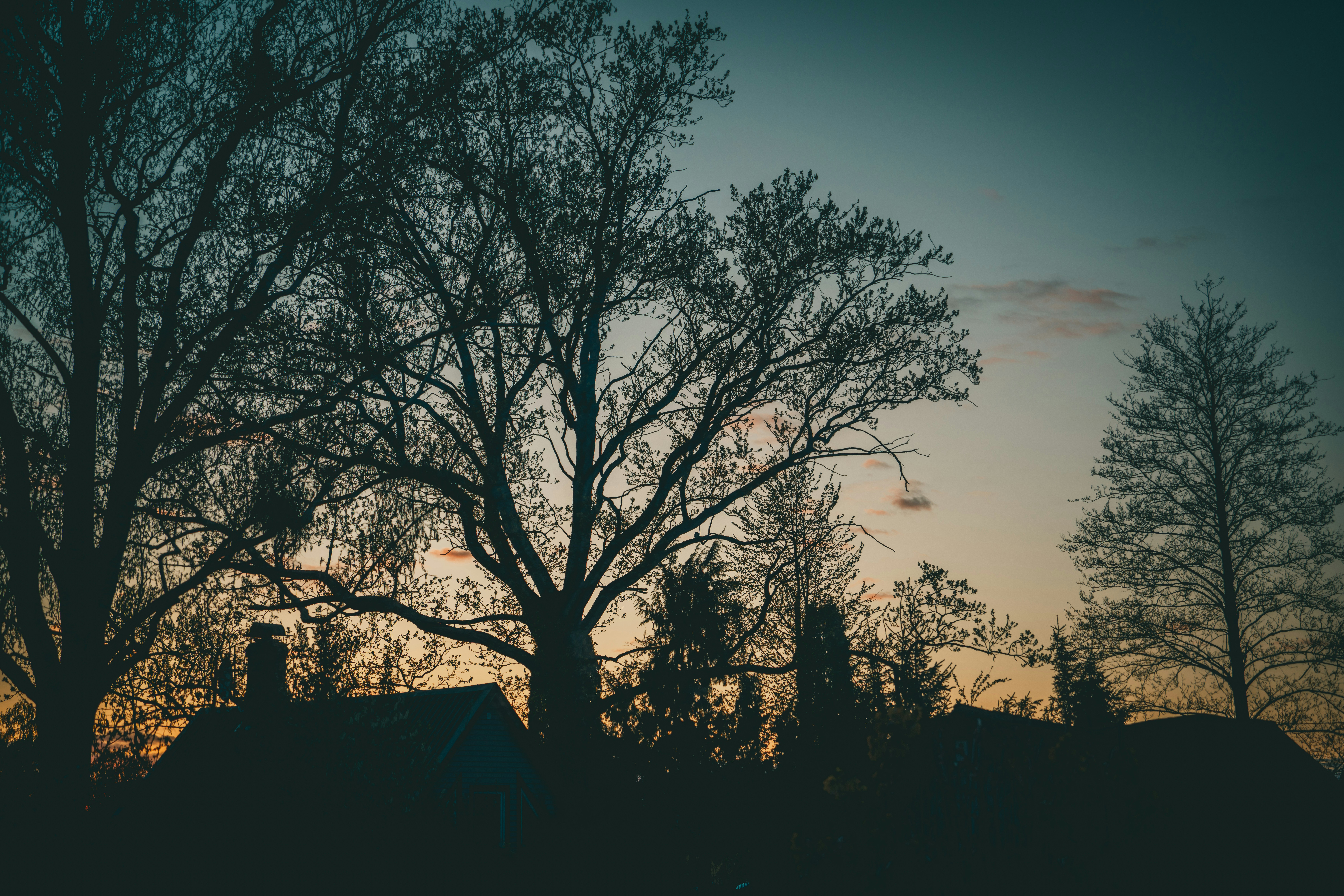 Photo by raimondklavins