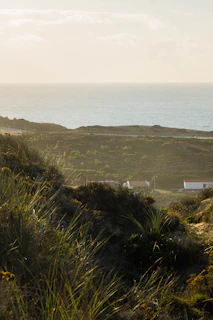 Lush Cantabrian hills rolling gently behind the charming stone cottages of Isla Serena.