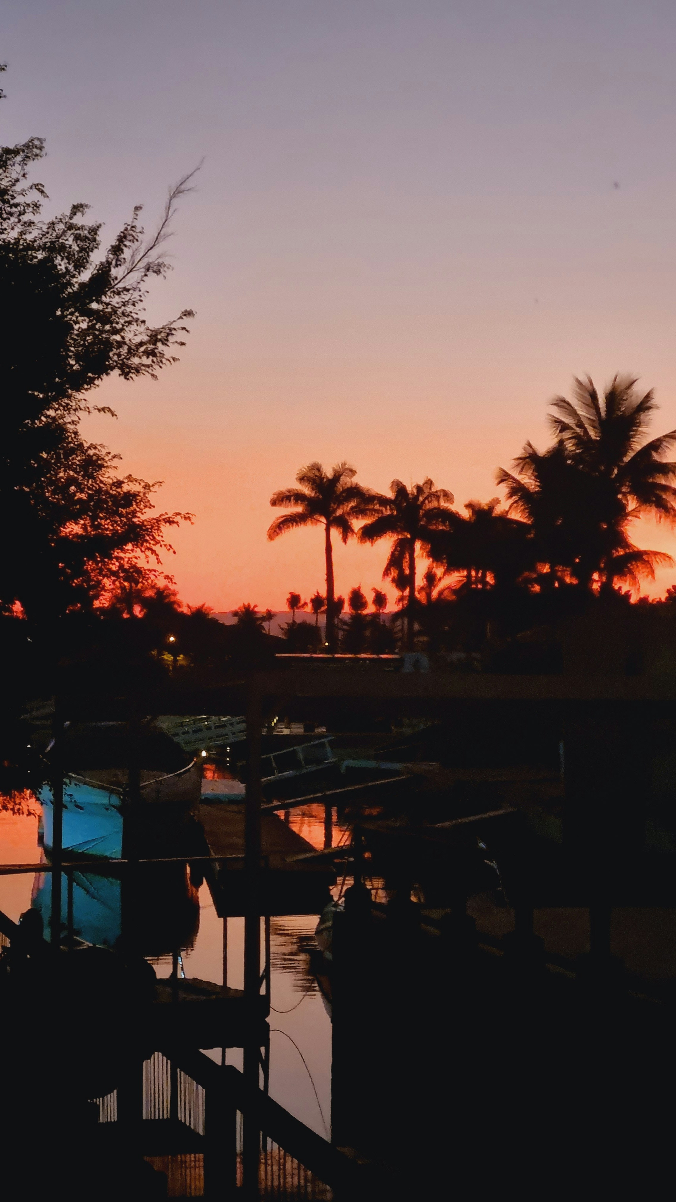 Calm Gulf Coast bay waters at sunset with silhouetted palm trees and warm orange sky reflections