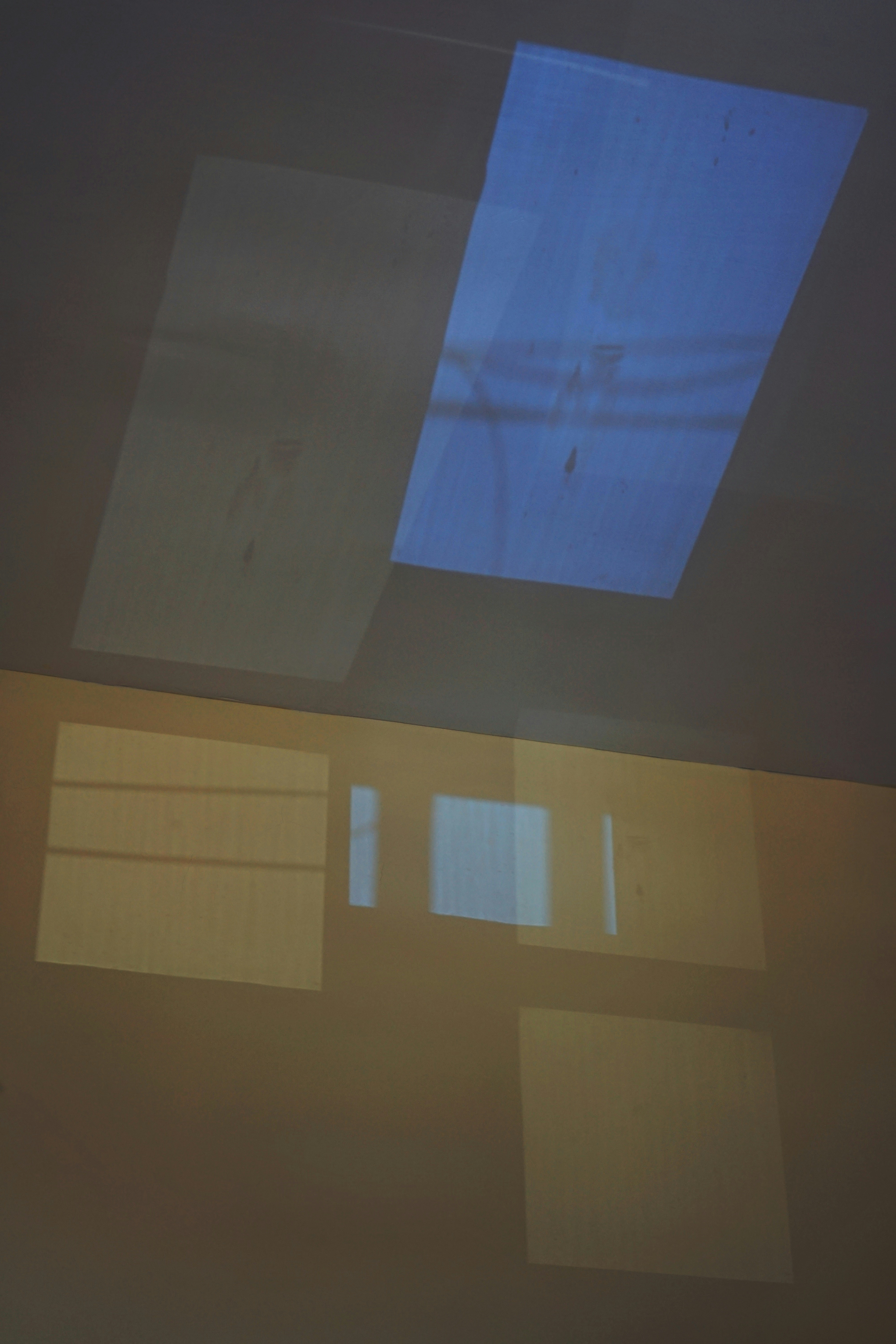 Photo by judahwester