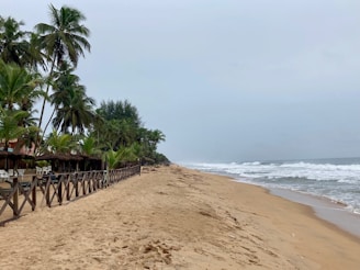 A serene beachfront with golden sand stretching along the shore, lined with tall palm trees. Wooden fences and scattered chairs are visible, suggesting a setup for relaxation. The sky is overcast, and gentle waves roll in from the ocean.