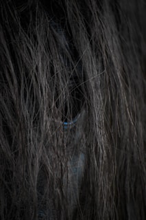 a close up of a person with long hair