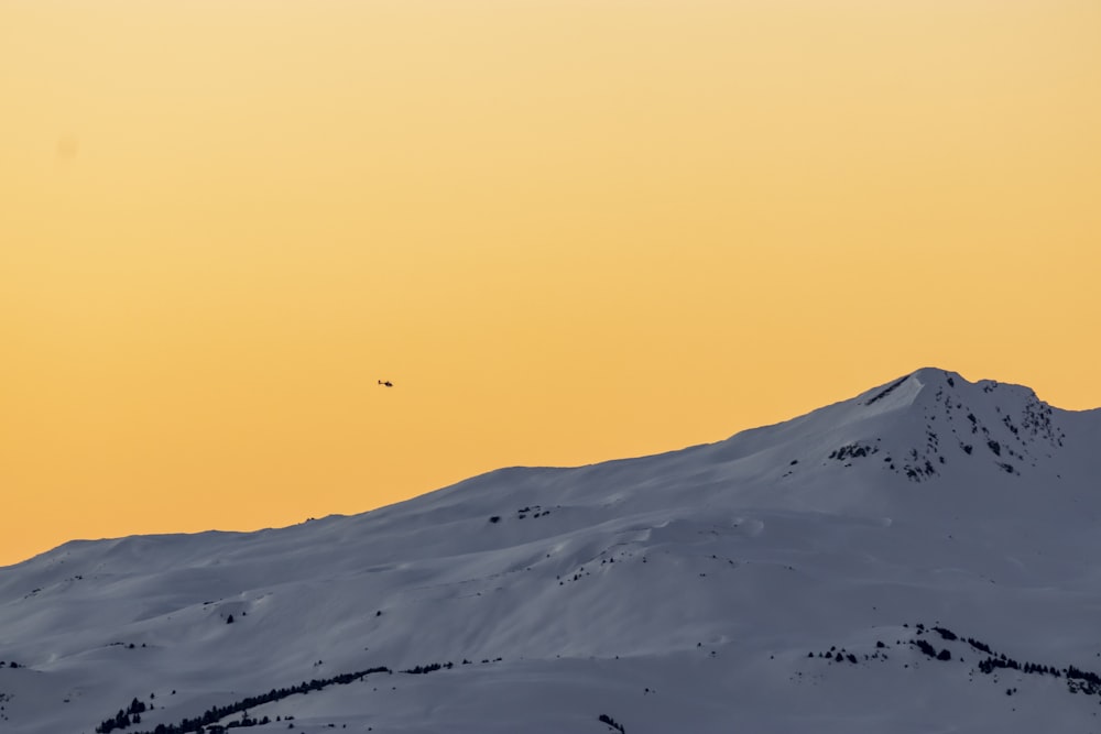 a bird flying over a snow covered mountain