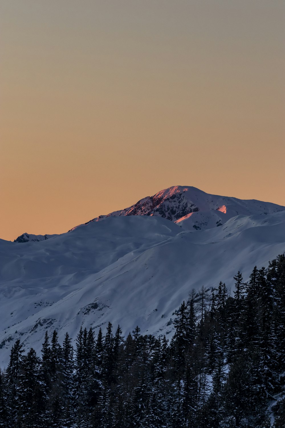 a mountain covered in snow with trees in the foreground