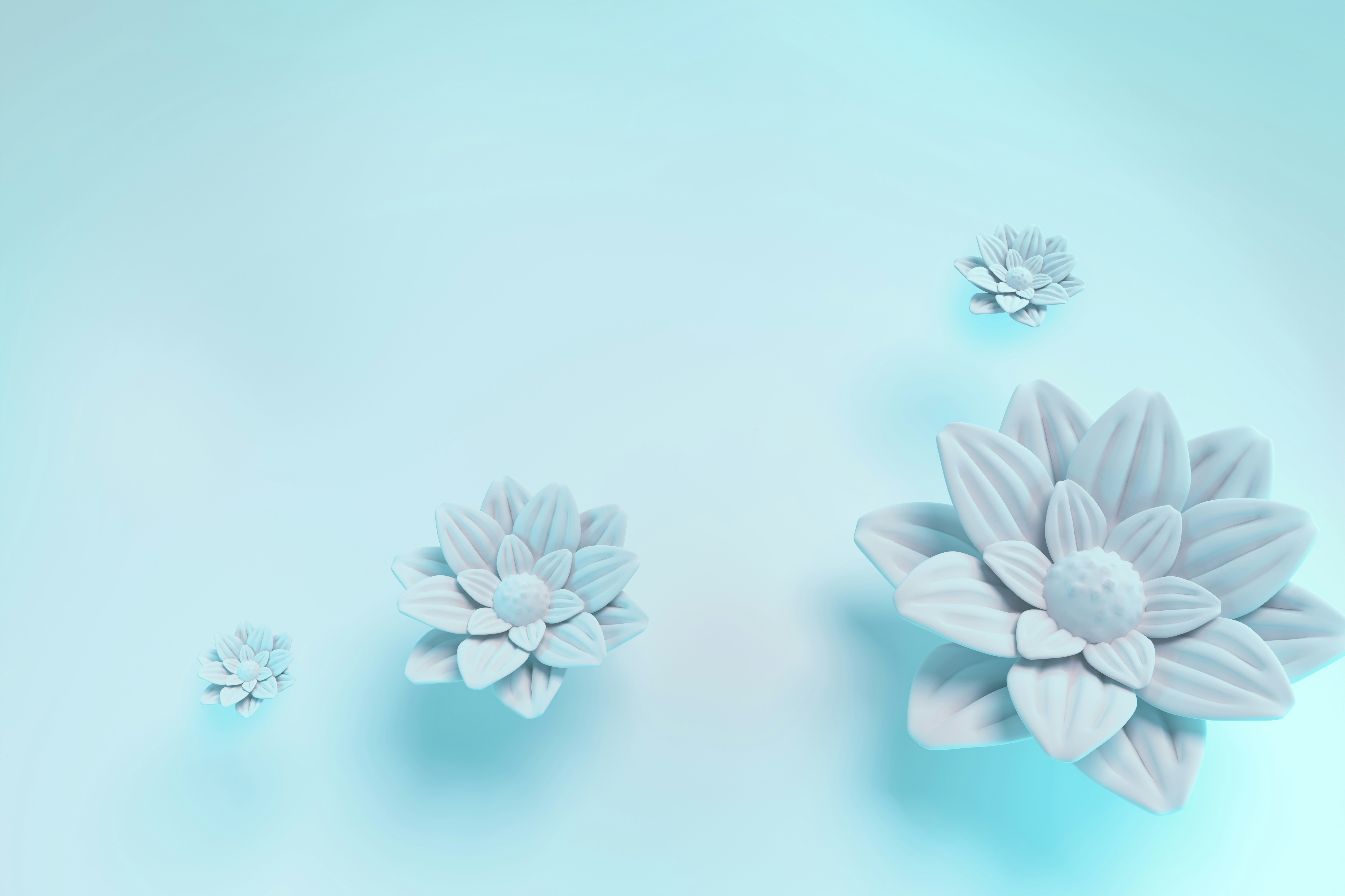 Photo by any_street_photo