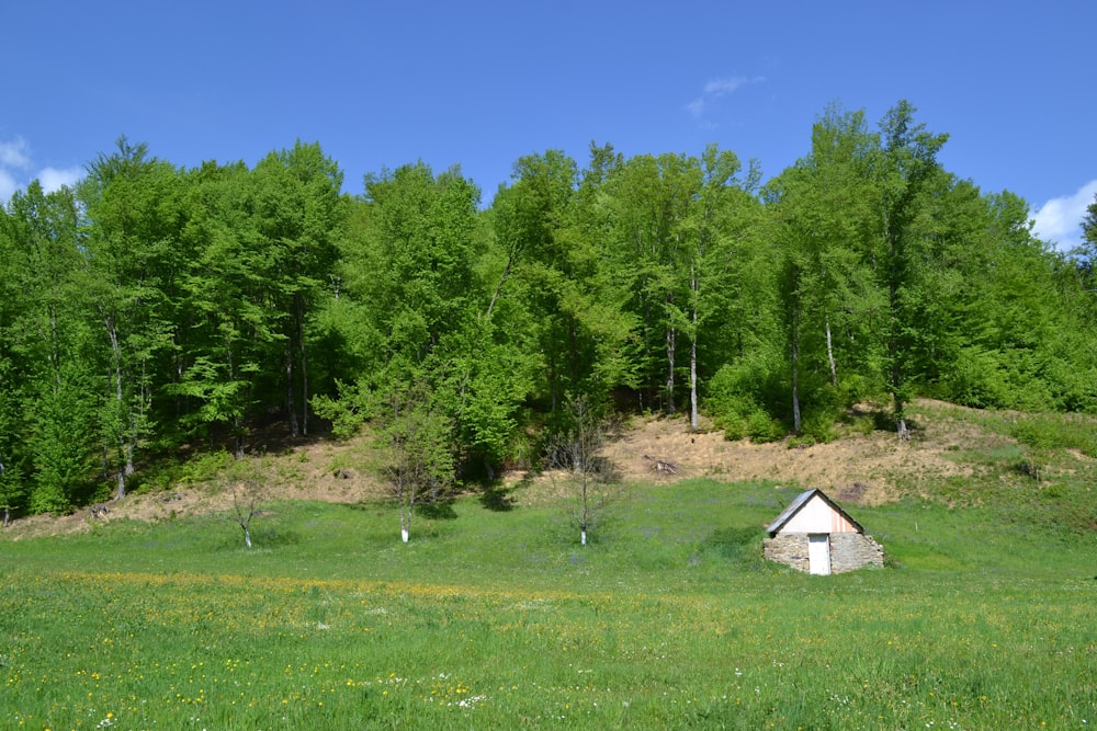 a grassy field with a small house in the middle of it