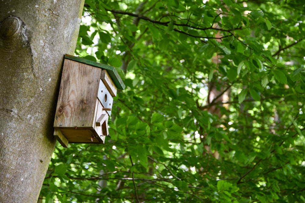 a birdhouse hanging from the side of a tree