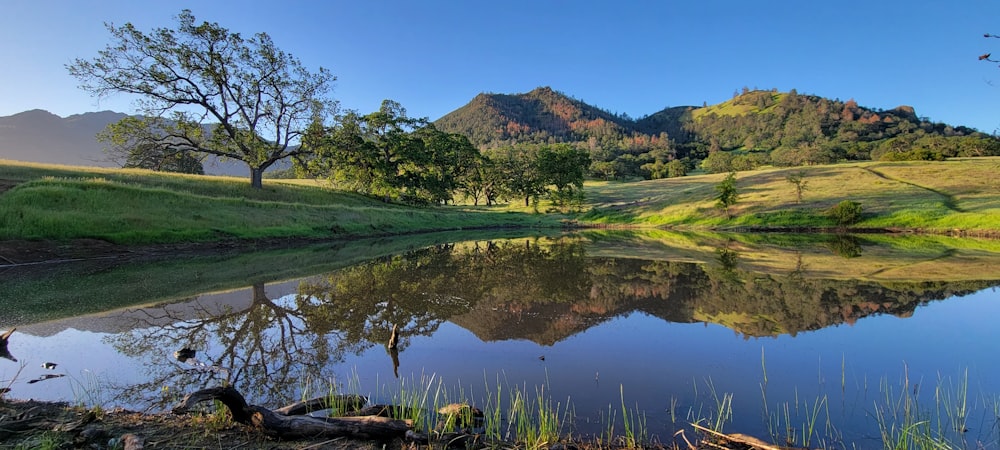 a lake surrounded by a lush green hillside