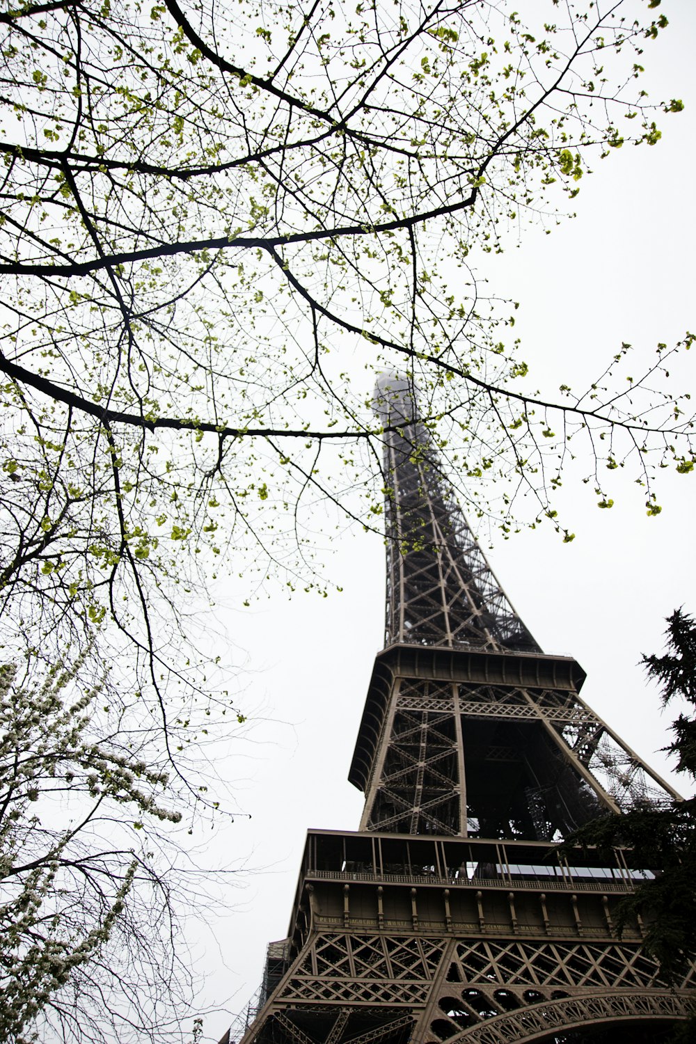 a view of the eiffel tower from below