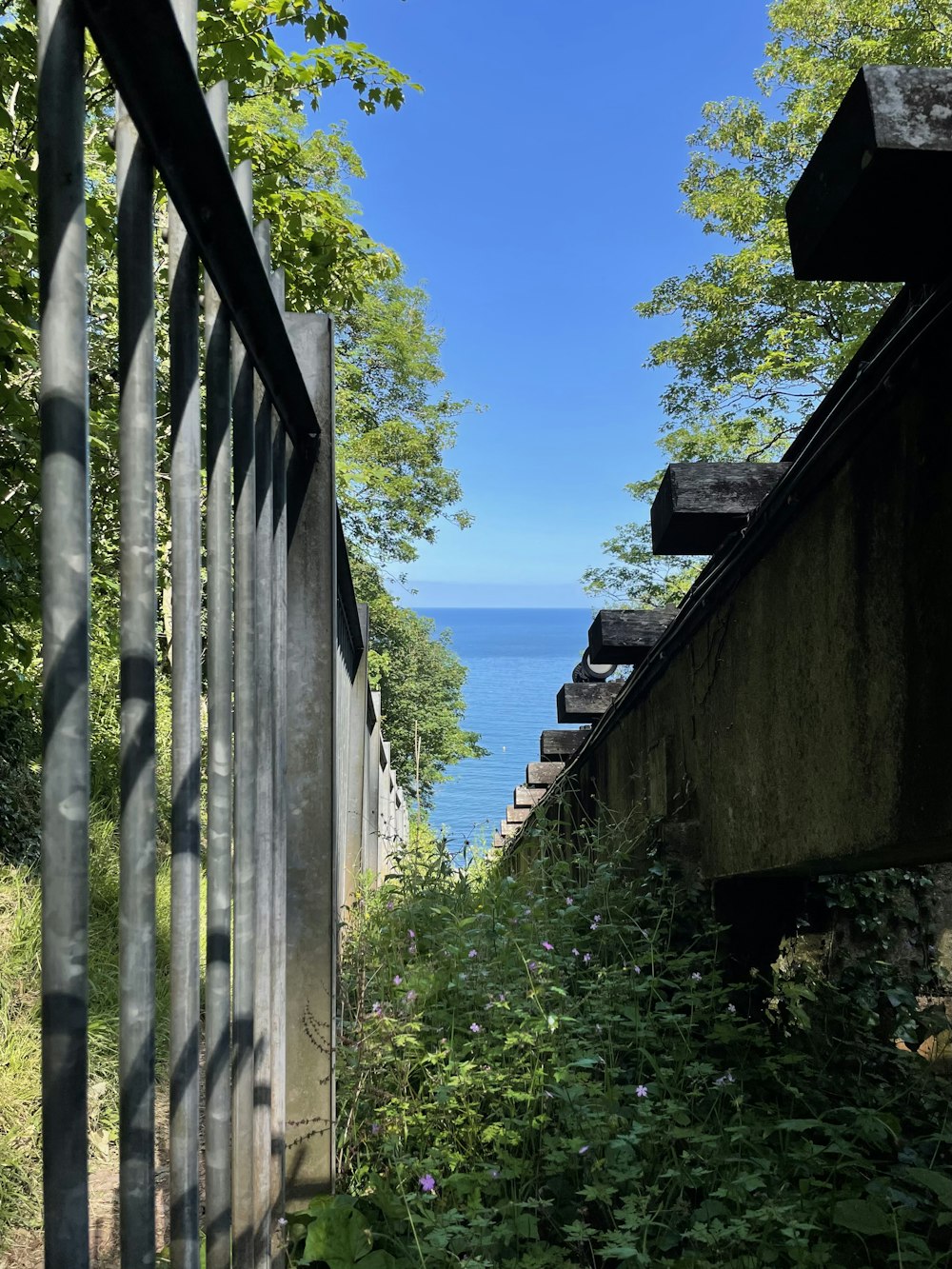 a view of a body of water through a fence