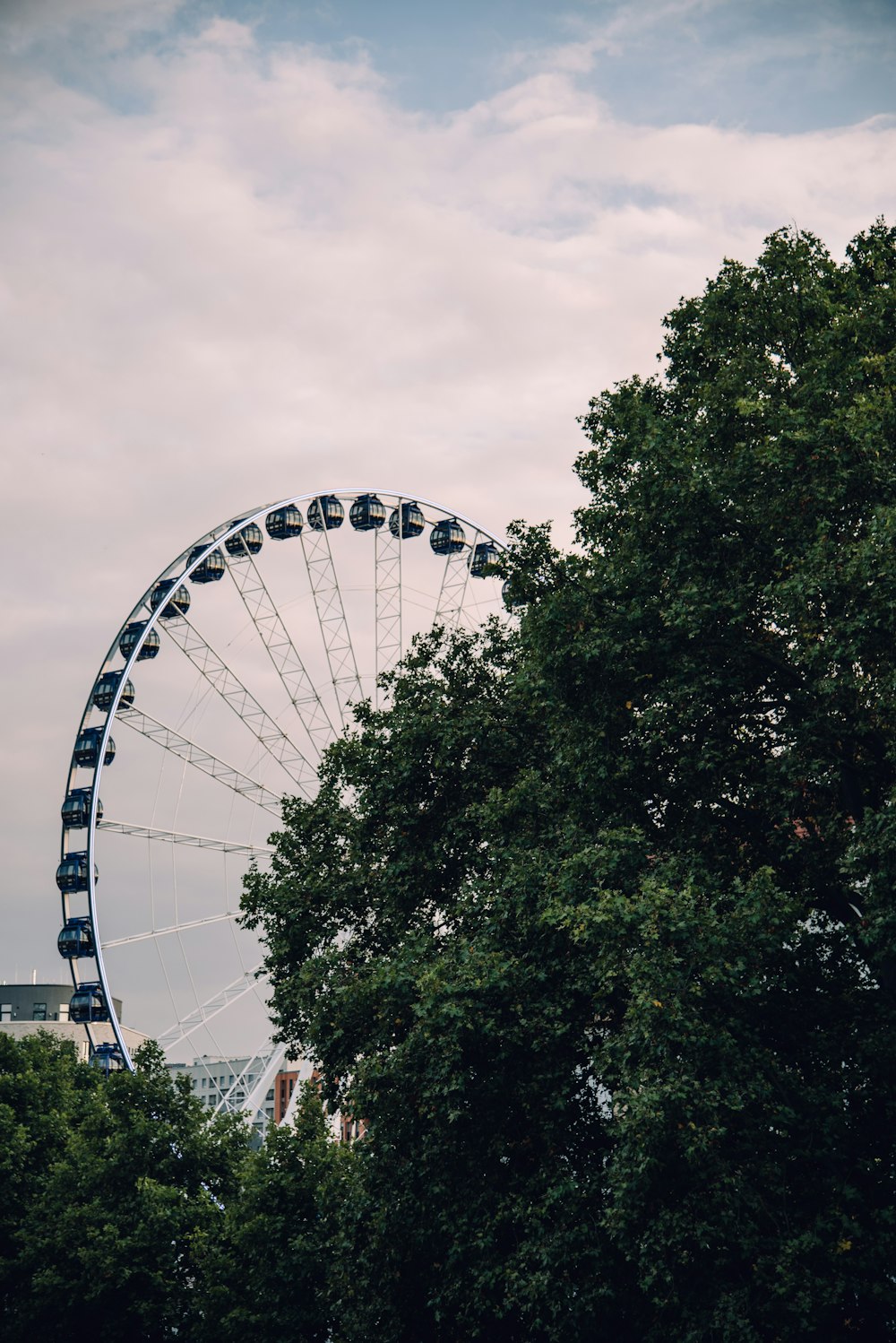 a large ferris wheel sitting next to a lush green forest