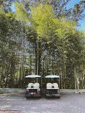 two golf carts parked in front of a bamboo tree