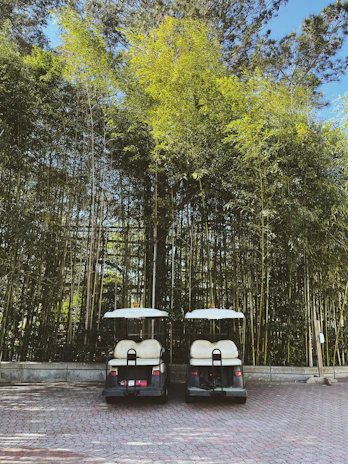 two golf carts parked in front of a bamboo tree