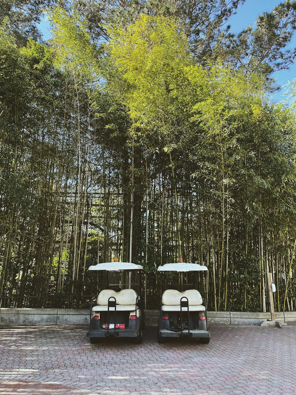 two golf carts parked in front of a bamboo tree