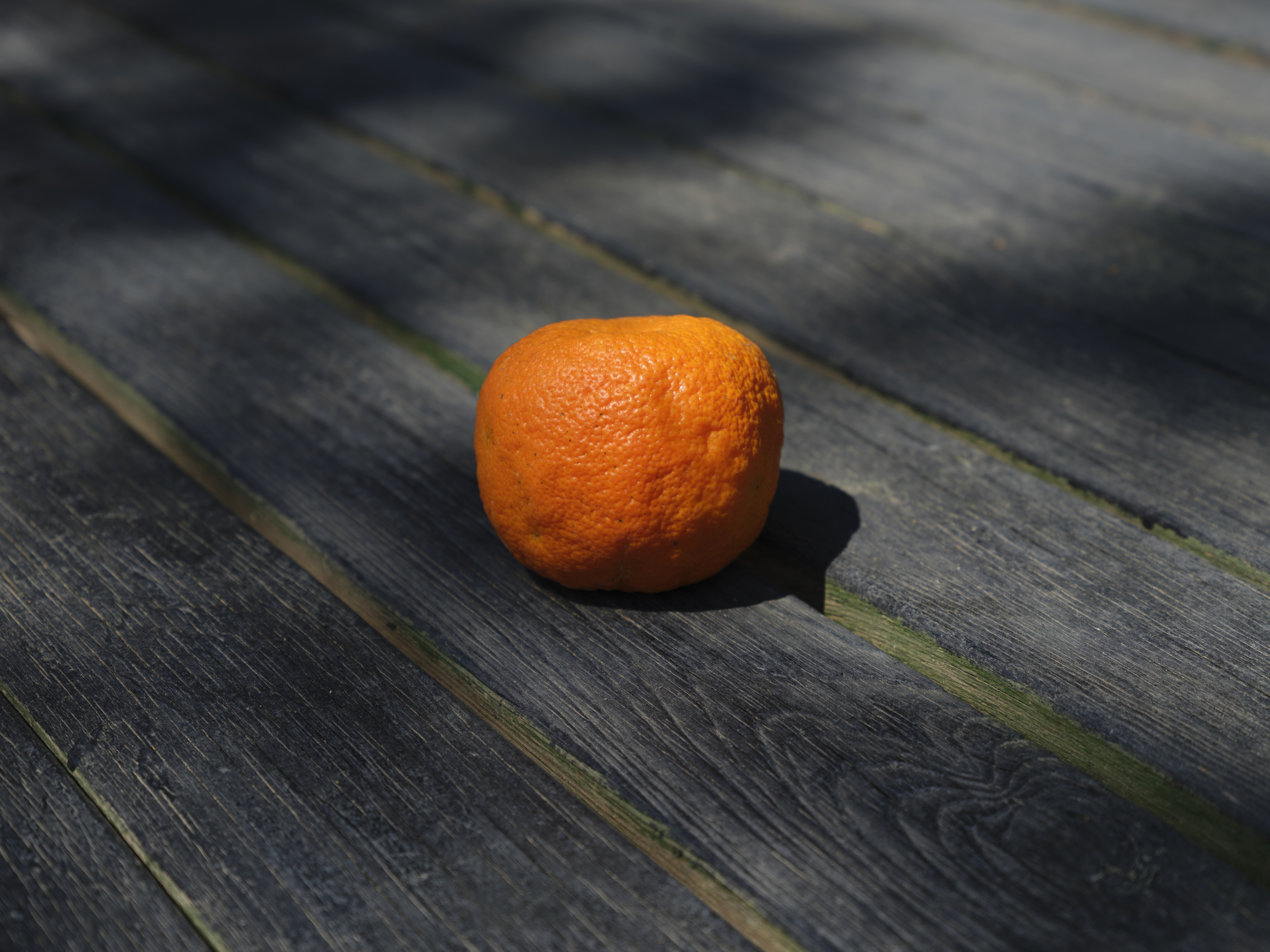an orange sitting on top of a wooden table