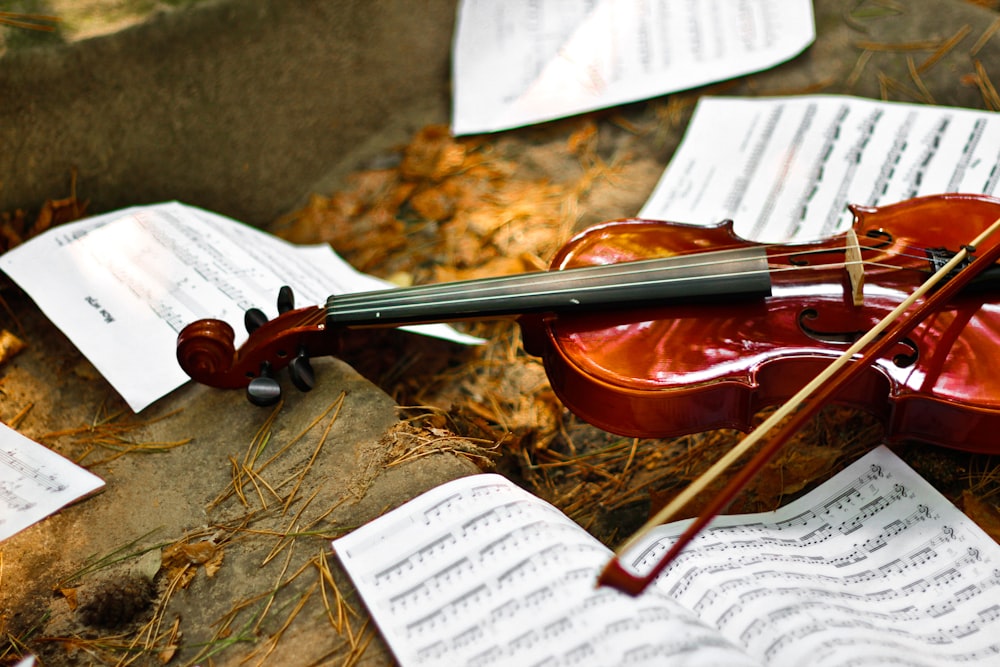a violin and sheet music laying on the ground