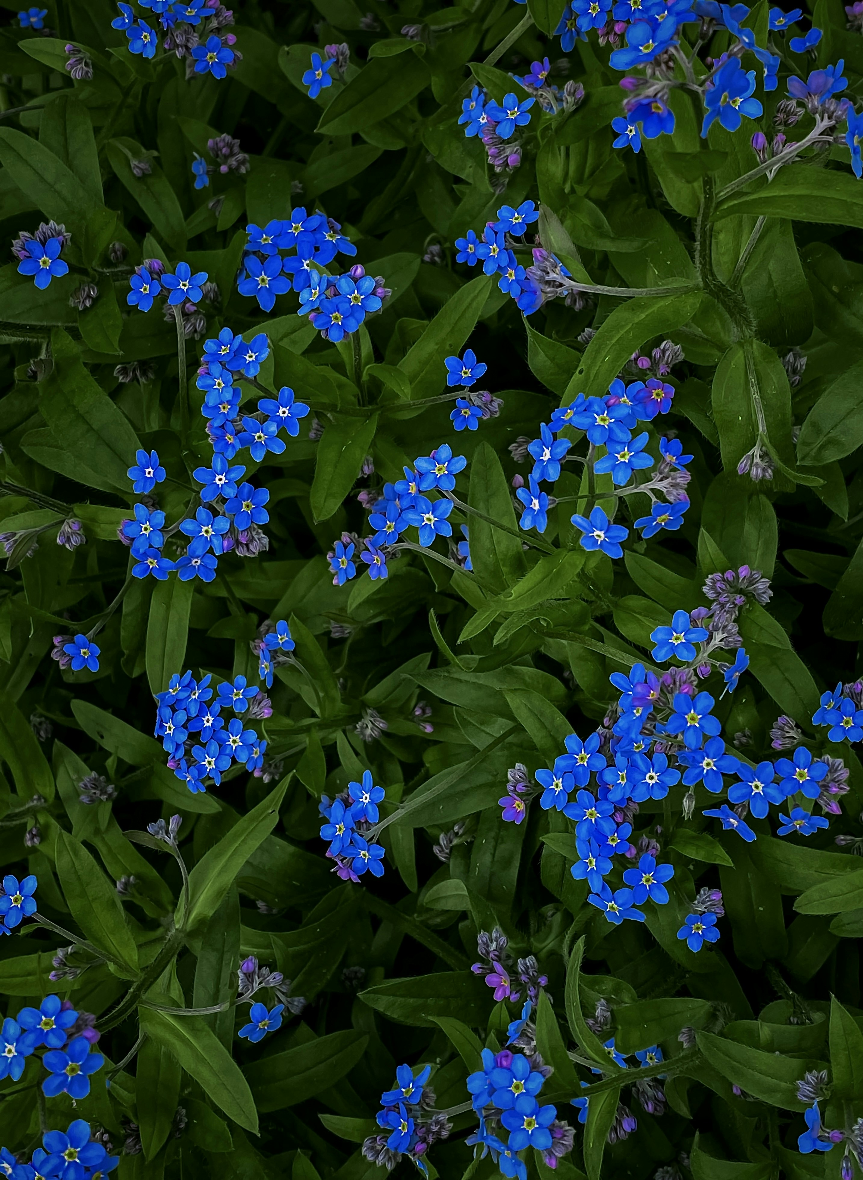 Photo by eugene_golovesov