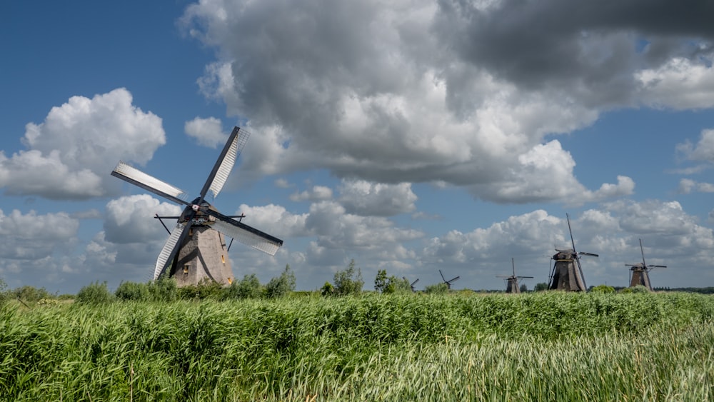 a bunch of windmills that are in the grass