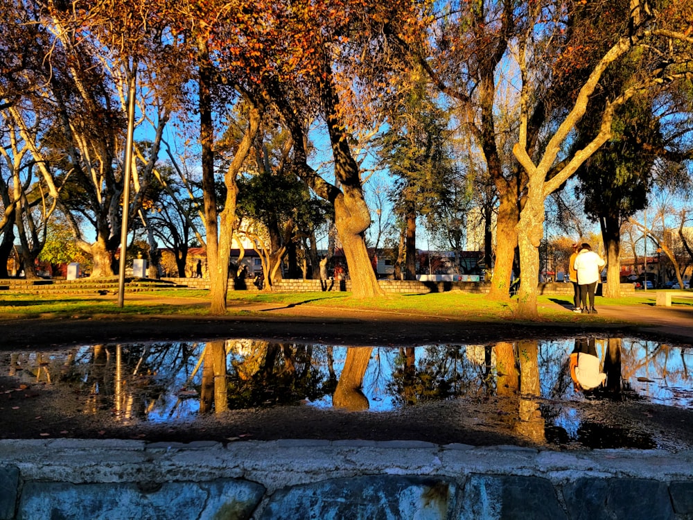 a man standing next to a pond in a park