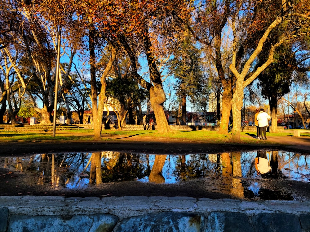 Ein Mann steht neben einem Teich in einem Park