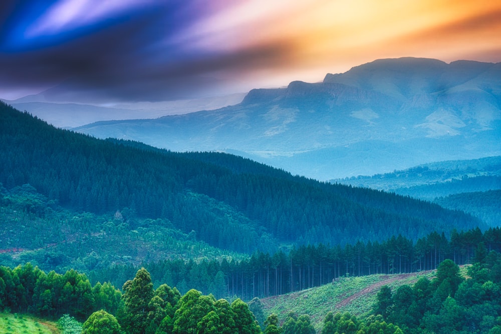 Una vista panorámica de una cadena montañosa con árboles y montañas al fondo