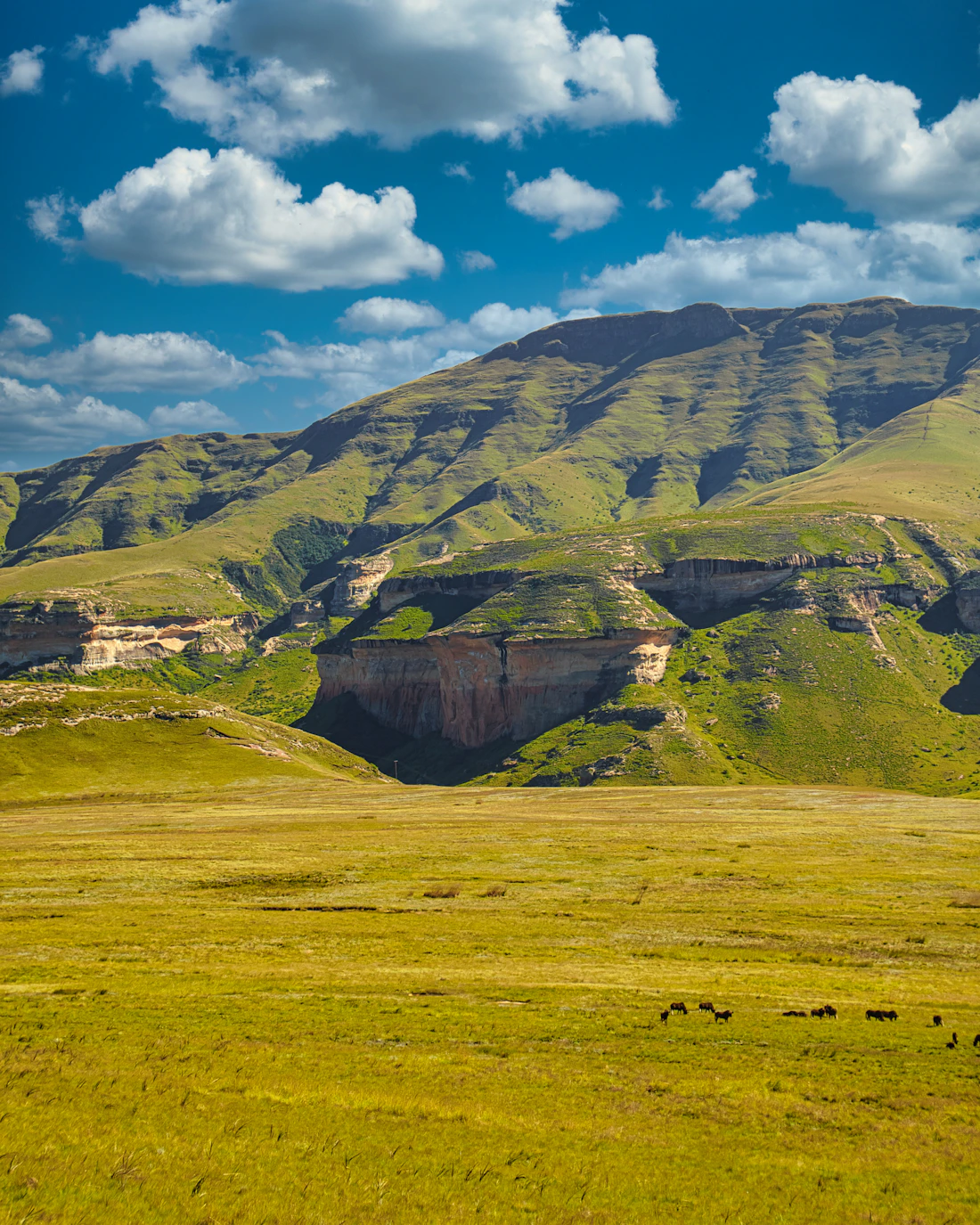 The green mountain ridges and deep valleys of the Drakensberg escarpment in South Africa