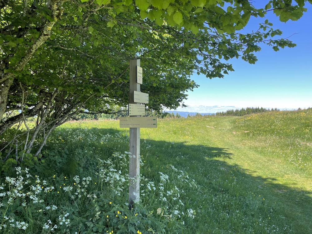um sinal de madeira no meio de um campo gramado