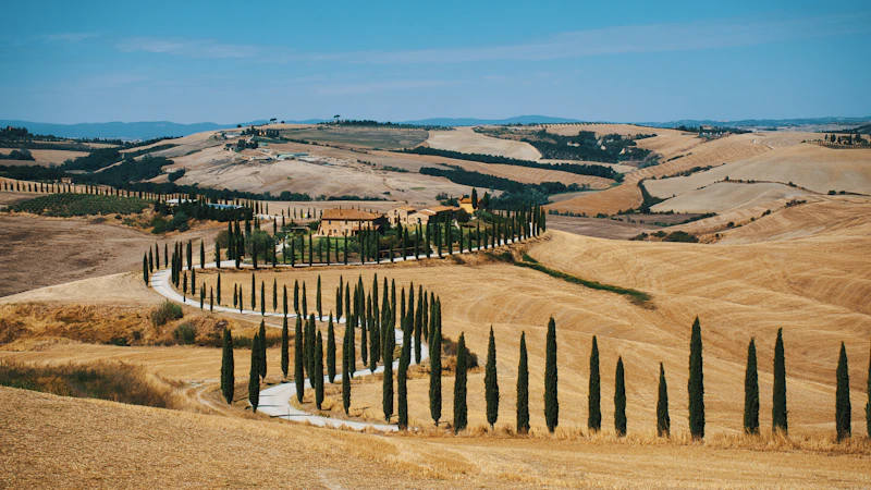 The Val d'Orcia view from the south terrace. The cypresses lining the road below the farmhouse are a 10-minute walk from the kitchen door. The terrace catches the light from late afternoon to dusk; bring a glass of Rosso for sunset.