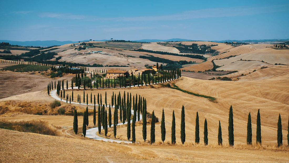 Cypress lined road across green Tuscan hills
