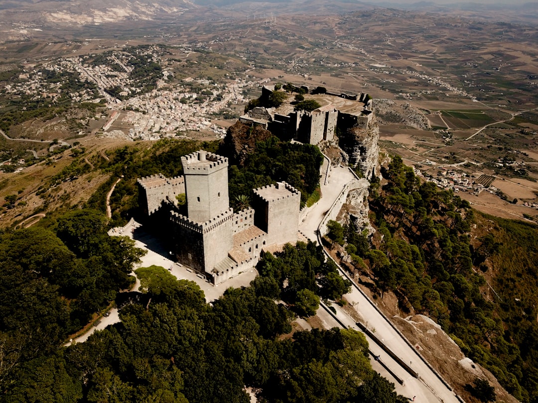 an aerial view of a castle on a hill,