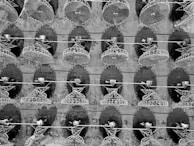 Wide shot of a large outdoor event with Nexus Starlink dishes positioned strategically for optimal coverage.