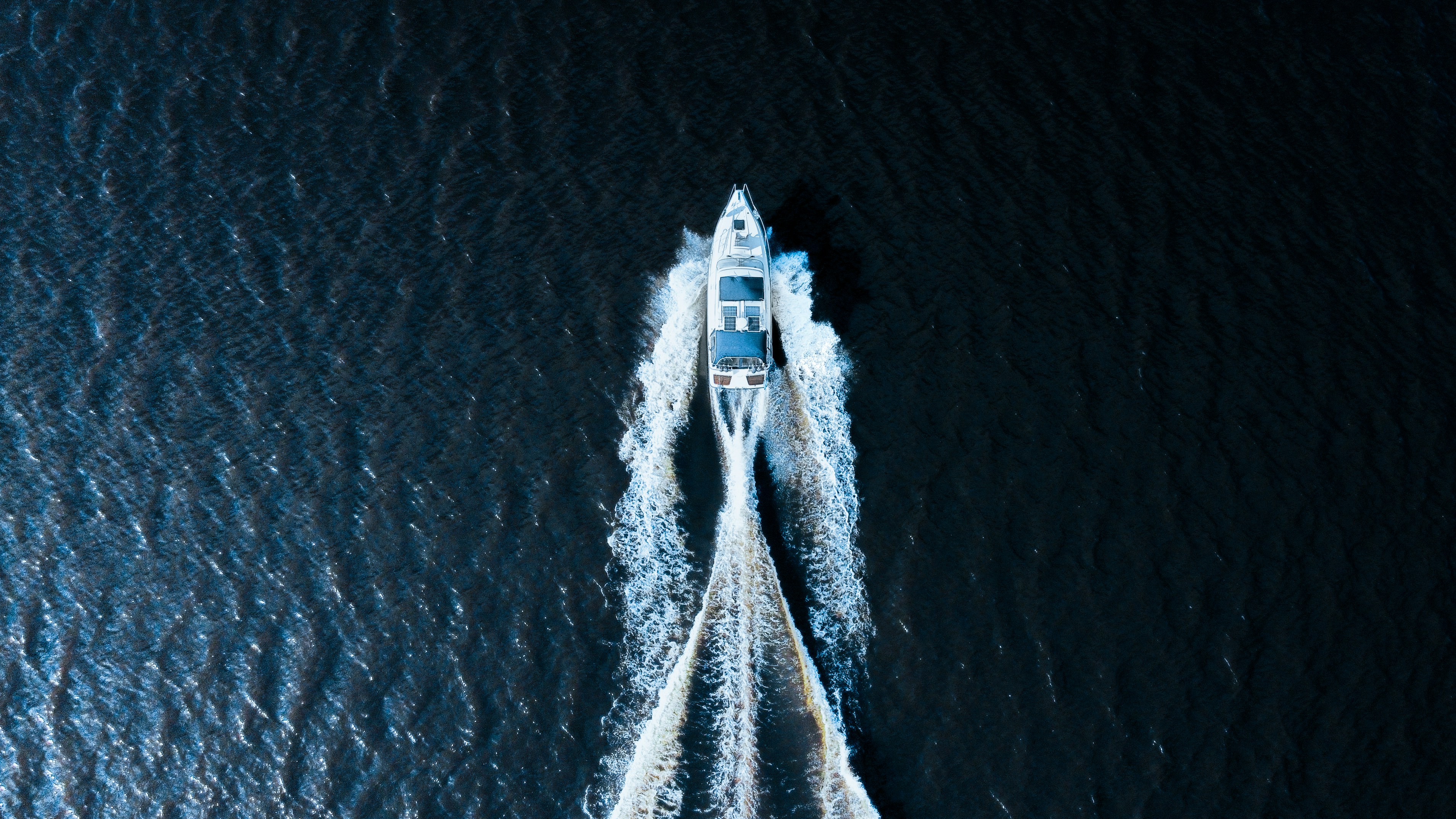 Photo by isakpetterssonfoto