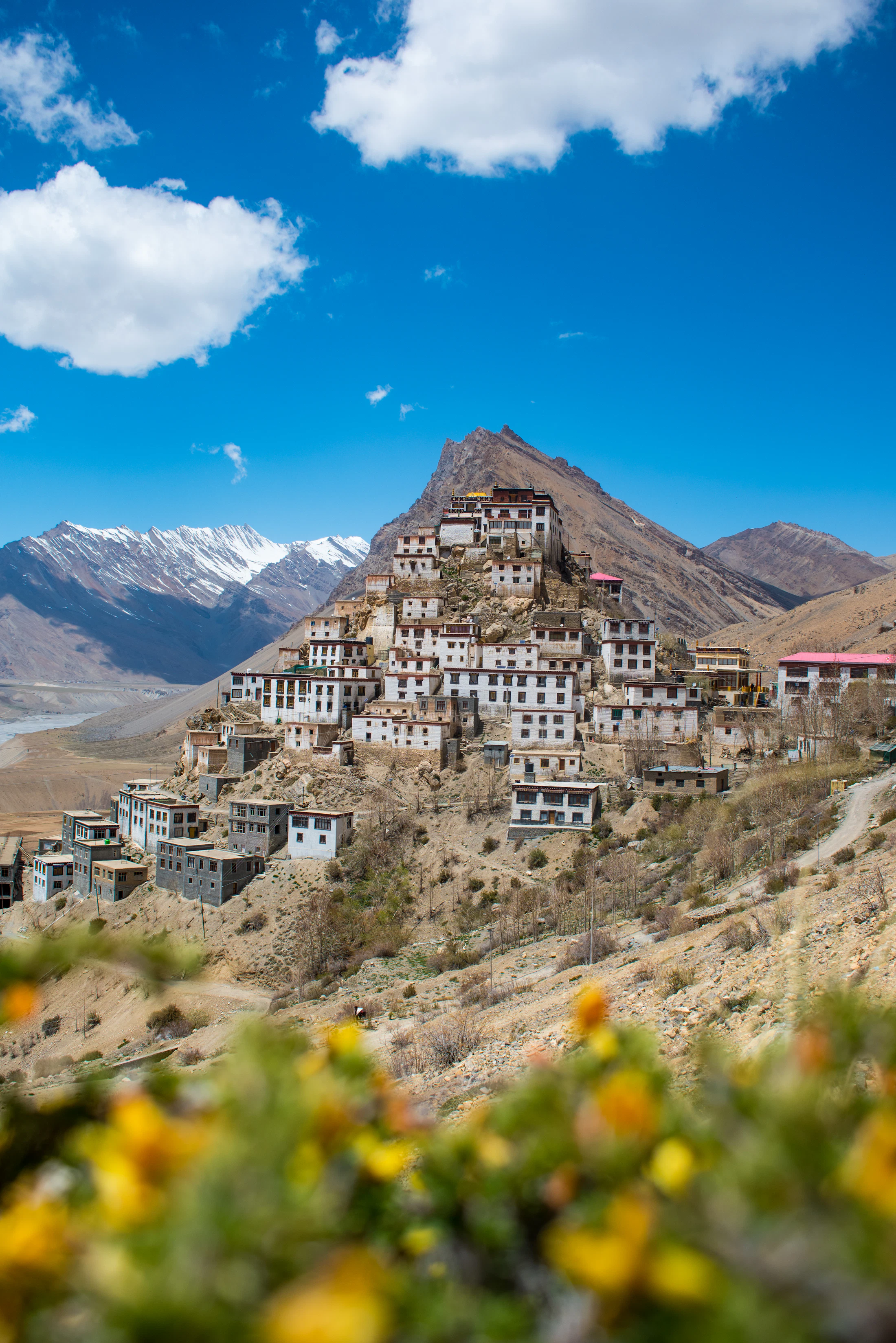 Key Monastery in Spiti Valley