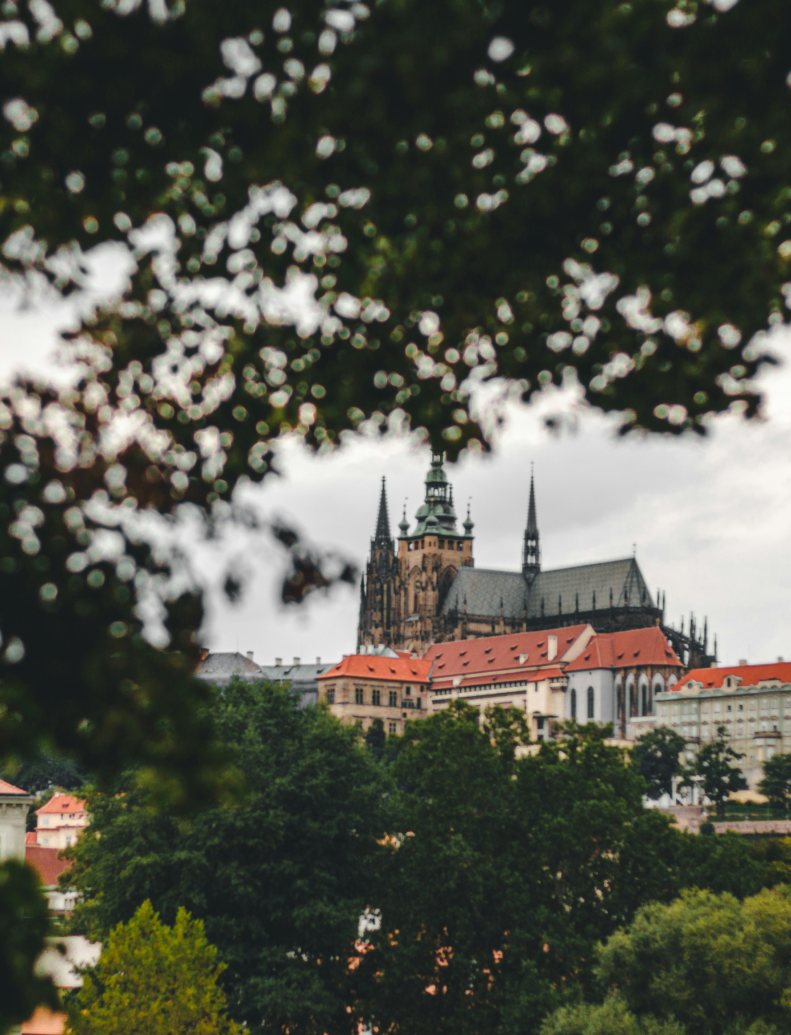 Photo by tomasz_filipek