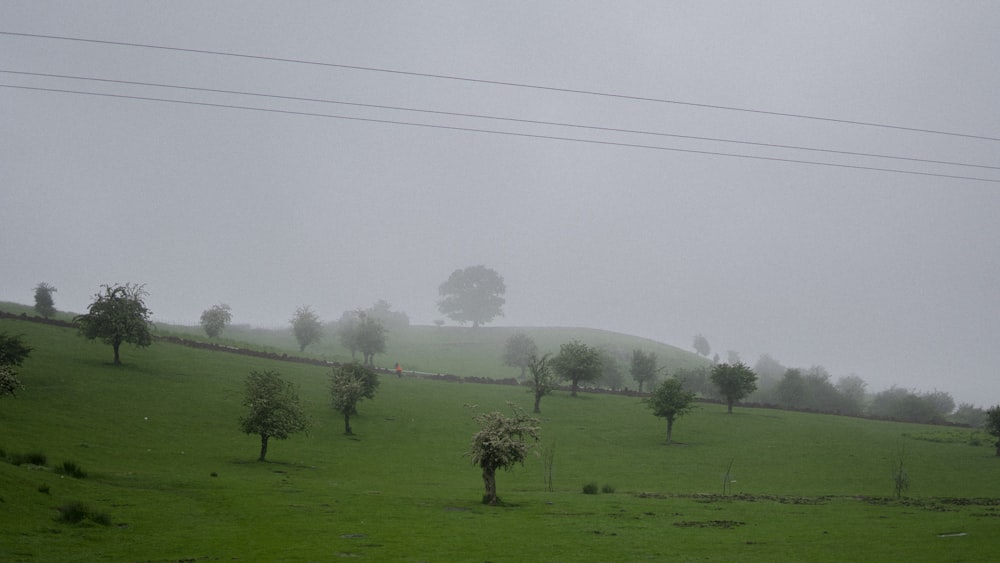 un champ brumeux avec des arbres et des collines en arrière-plan