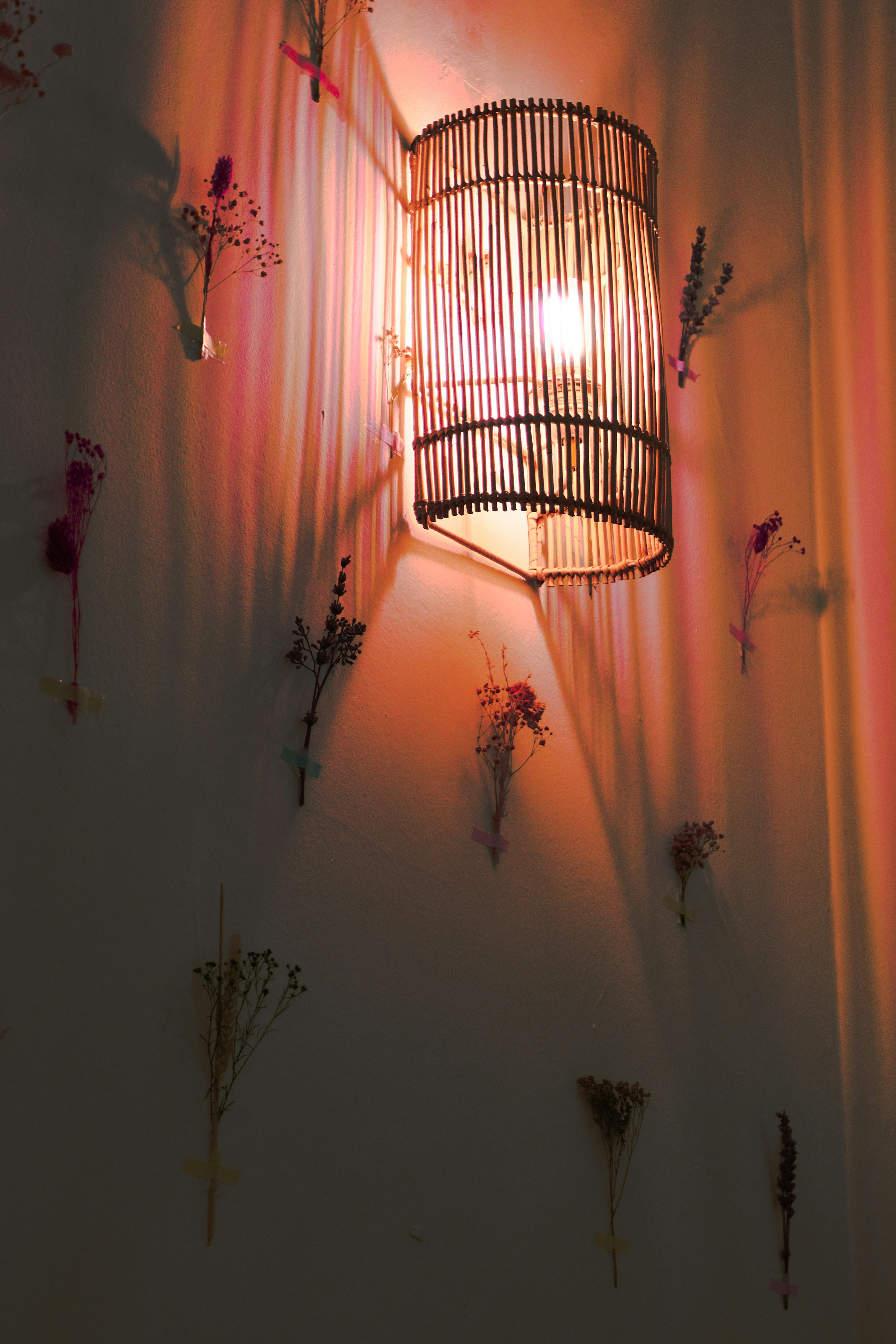 Photo by kmondschein