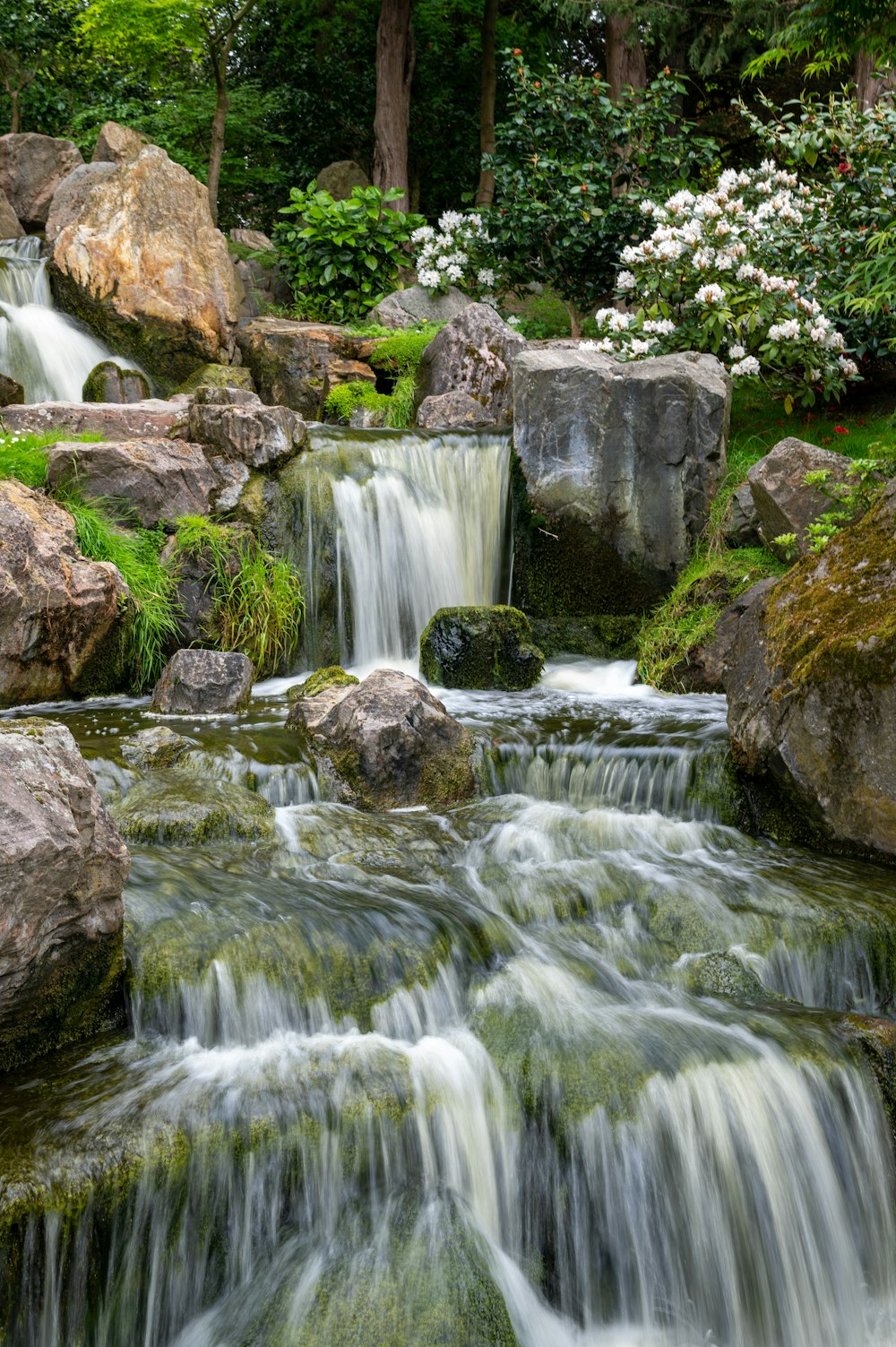 a stream of water running through a lush green forest