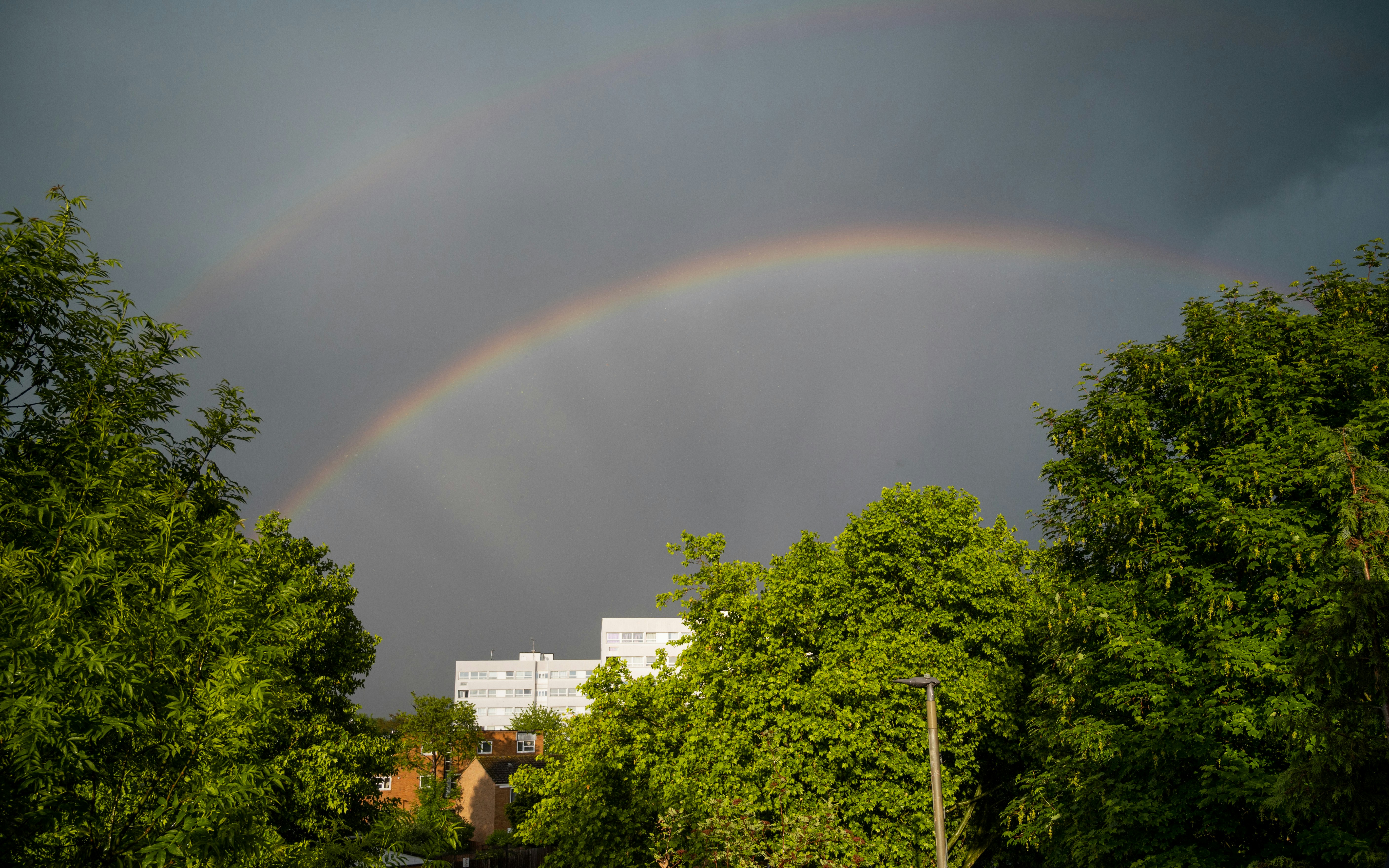 a double rainbow in the sky over some trees