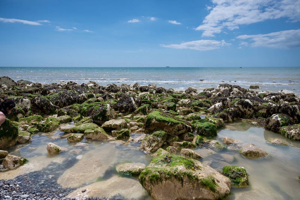 a person taking a picture of a rocky beach