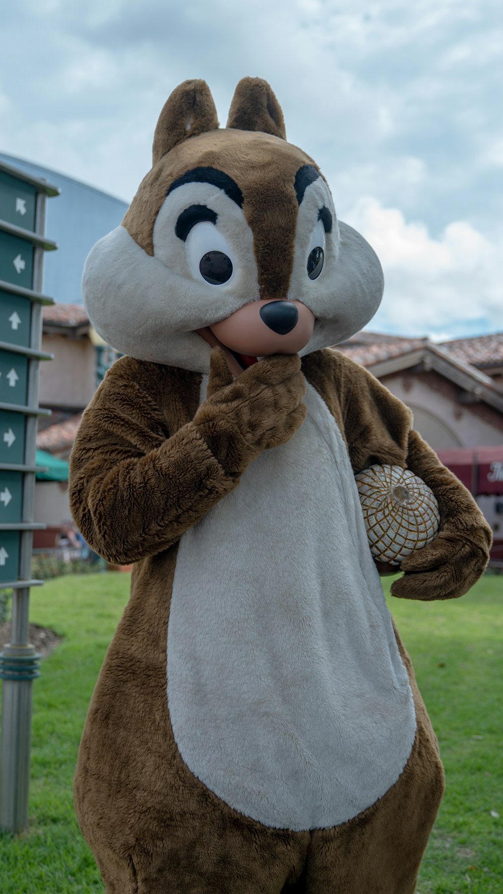 a person in a squirrel costume standing in the grass