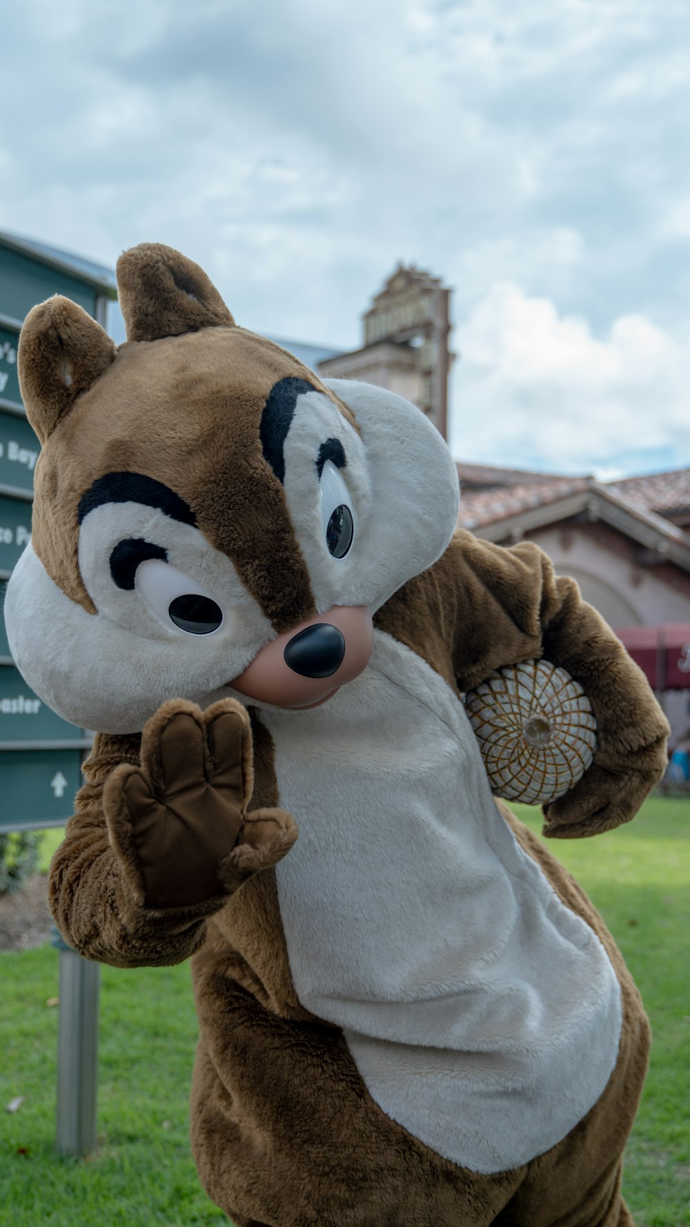 a person in a costume standing in the grass