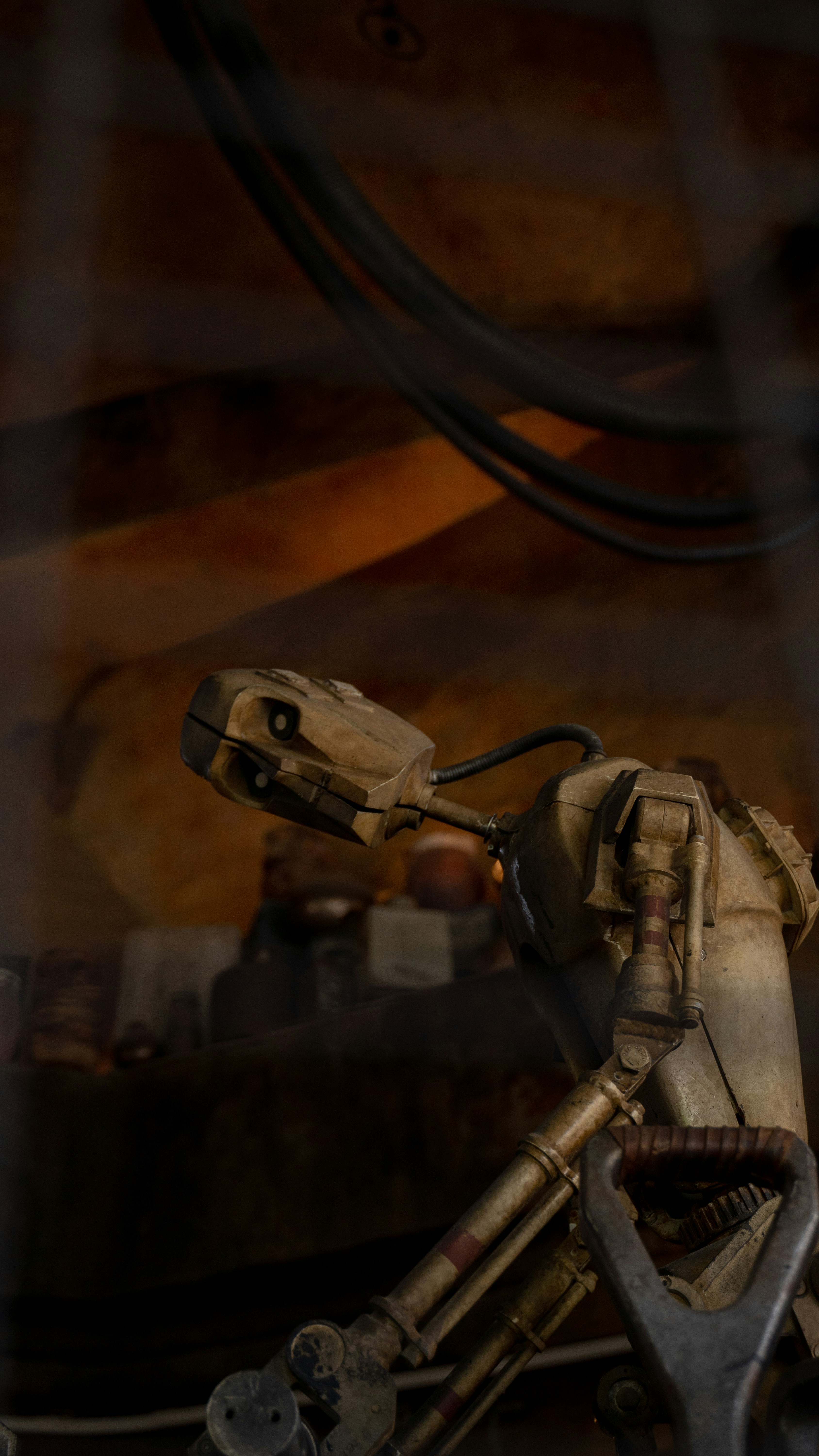 Photo by nickfuentes_